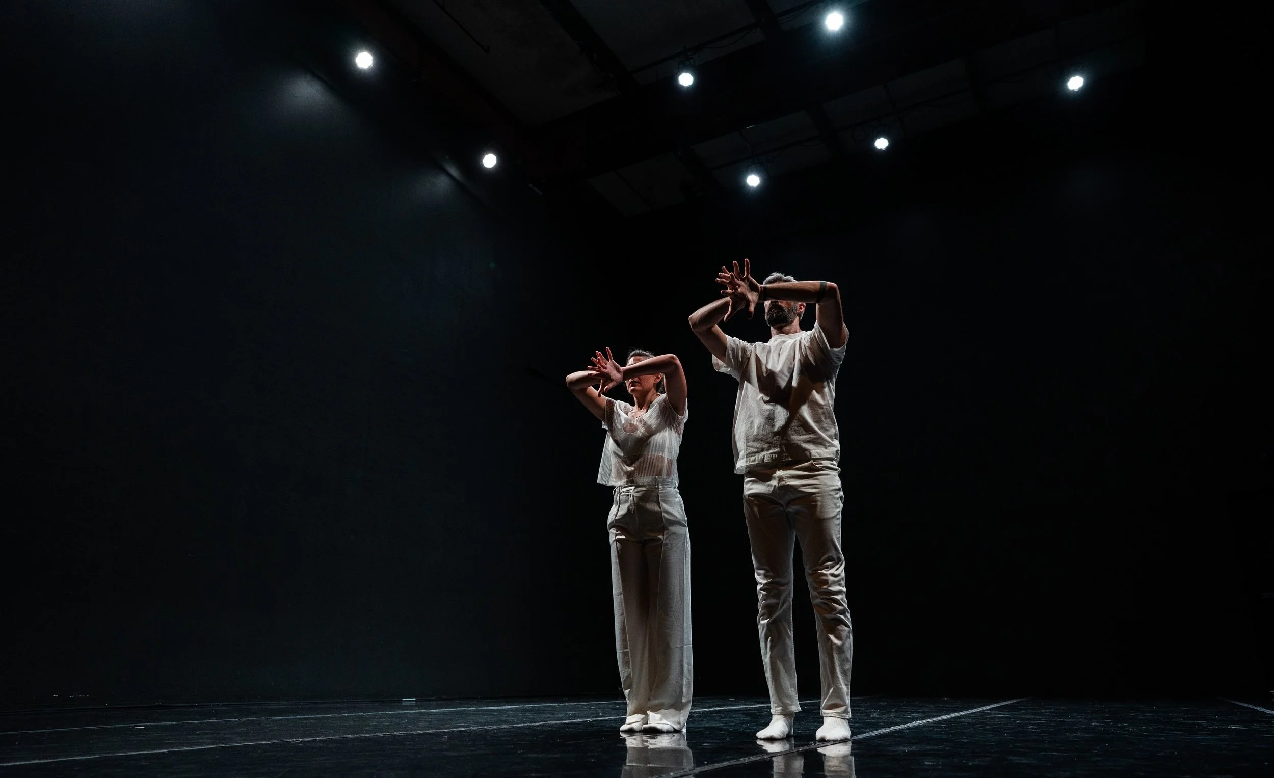  "Synchronous one-armed figure eights gave way to two-arm motions and then to full-bodied propulsion with transfixing specificity – Butoh on fast-forward. Split into momentous trajectories, they were drawn back together by the fearsome energy of Davi
