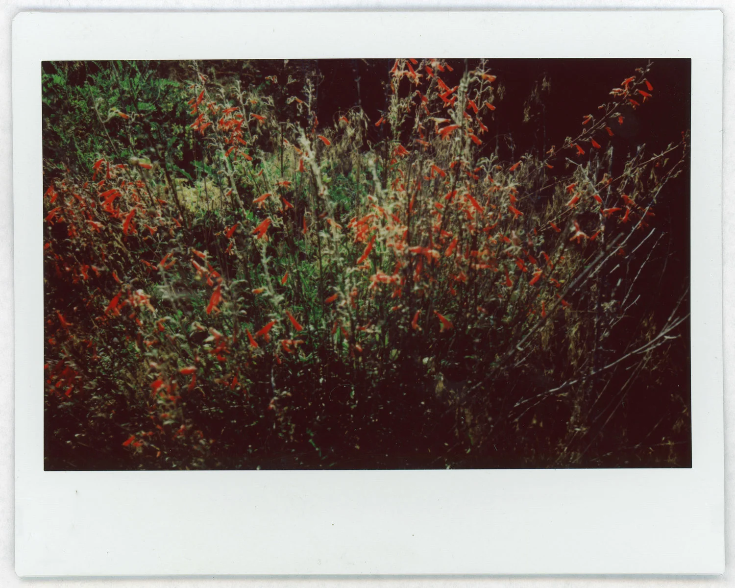 img055.jpg