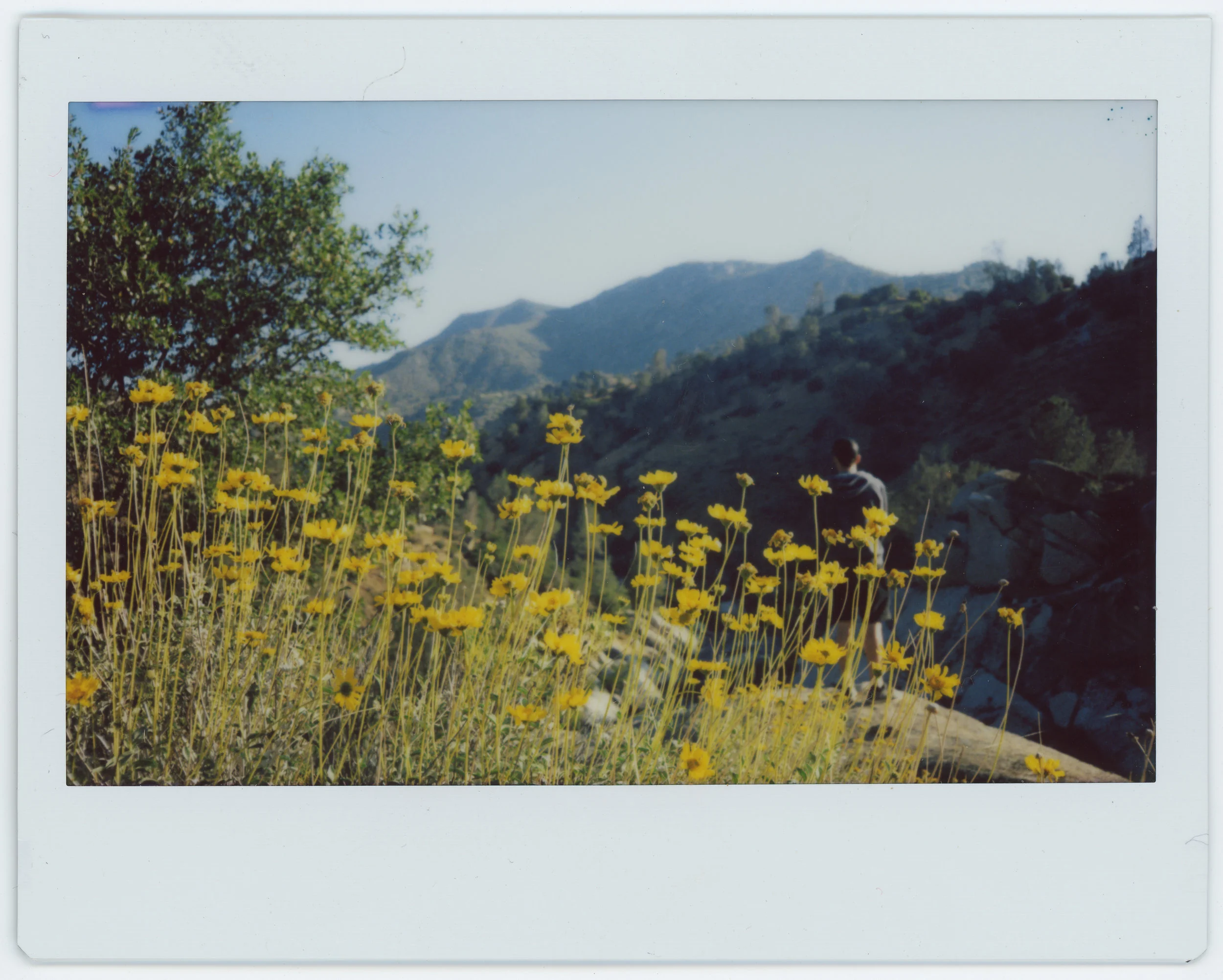 Kern River.jpg