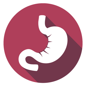 icon-small-intestine.png