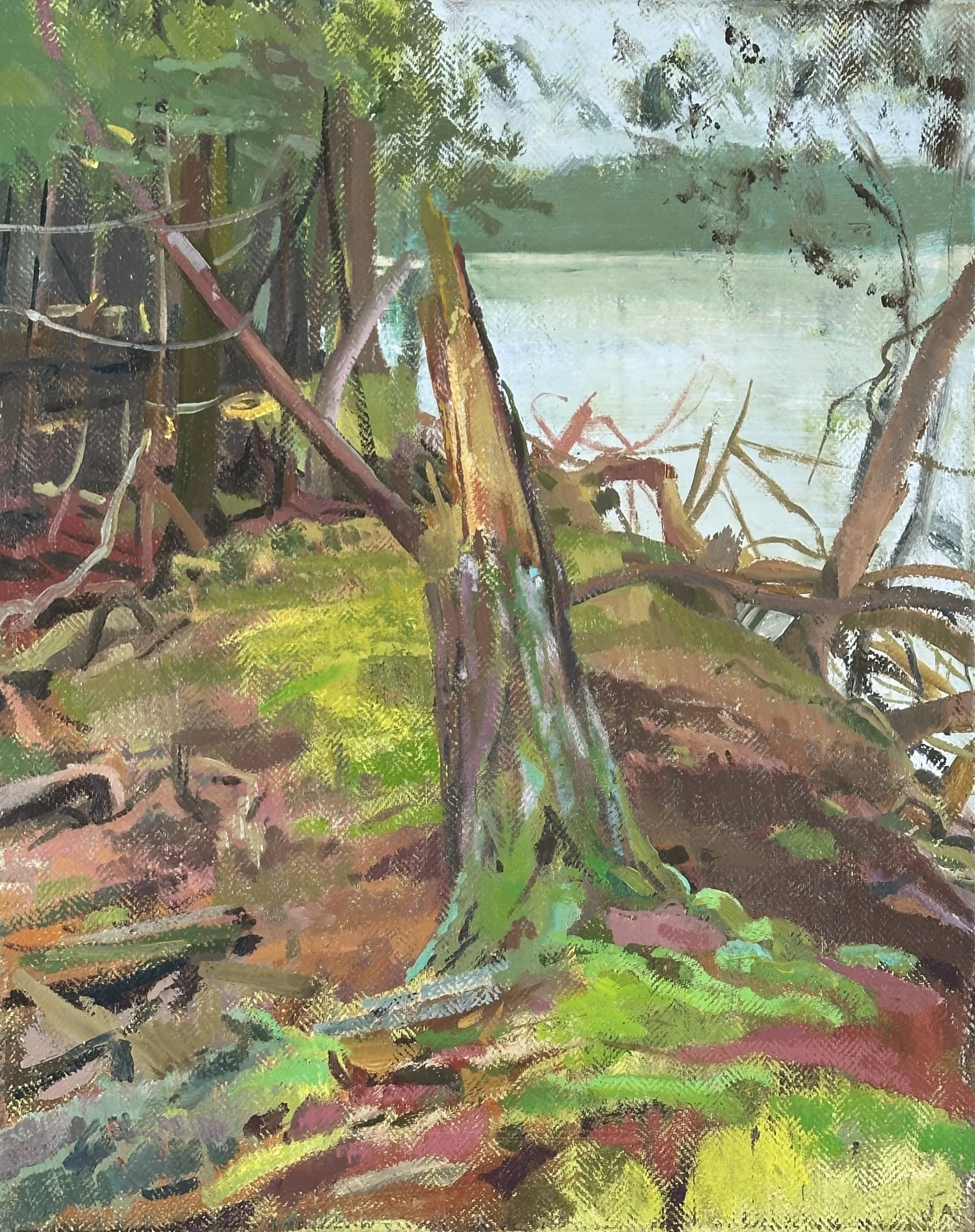  Maine Wood 1  oil on linen, 16” x 20” 