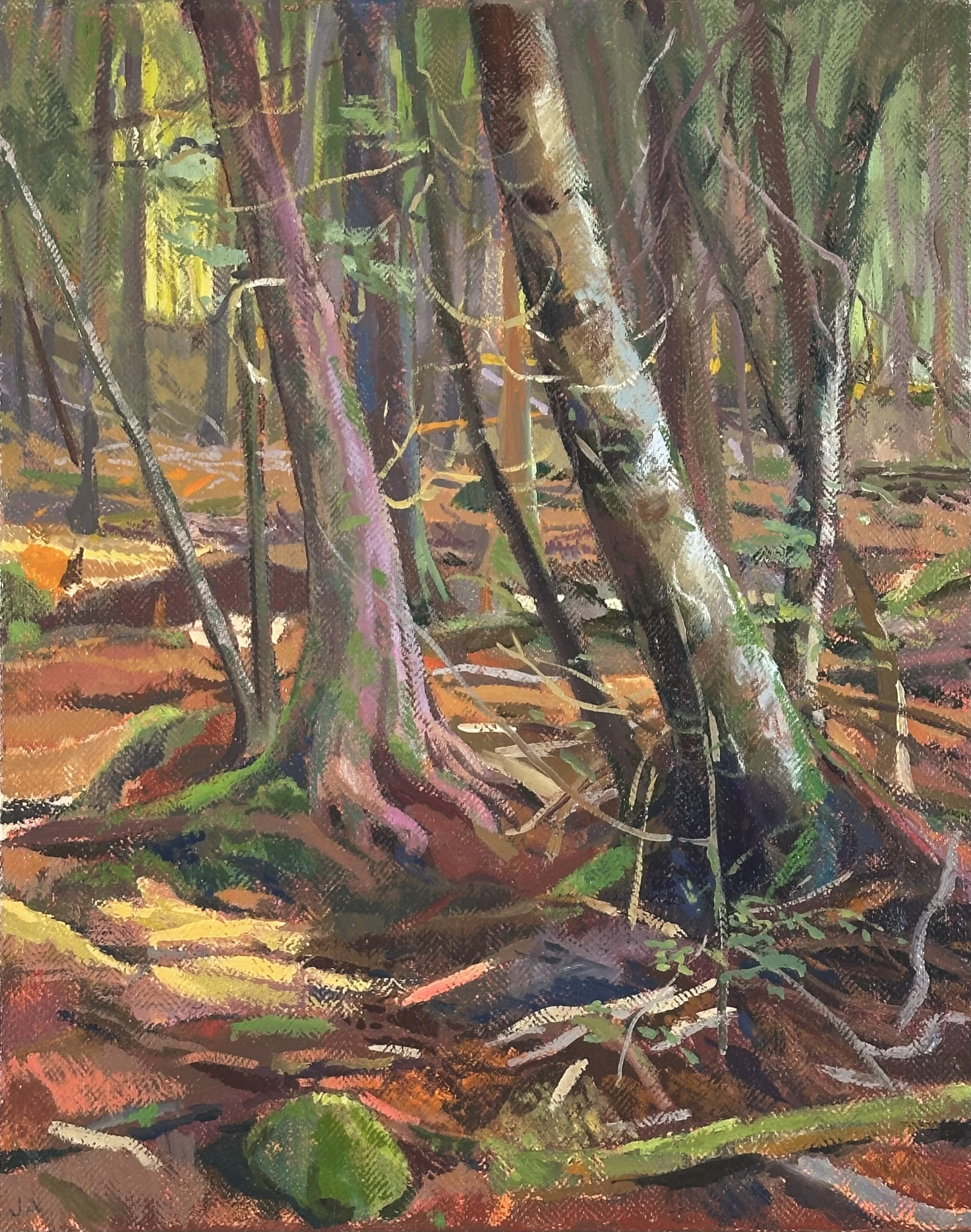  Maine Wood 2  oil on linen, 16” x 20” 