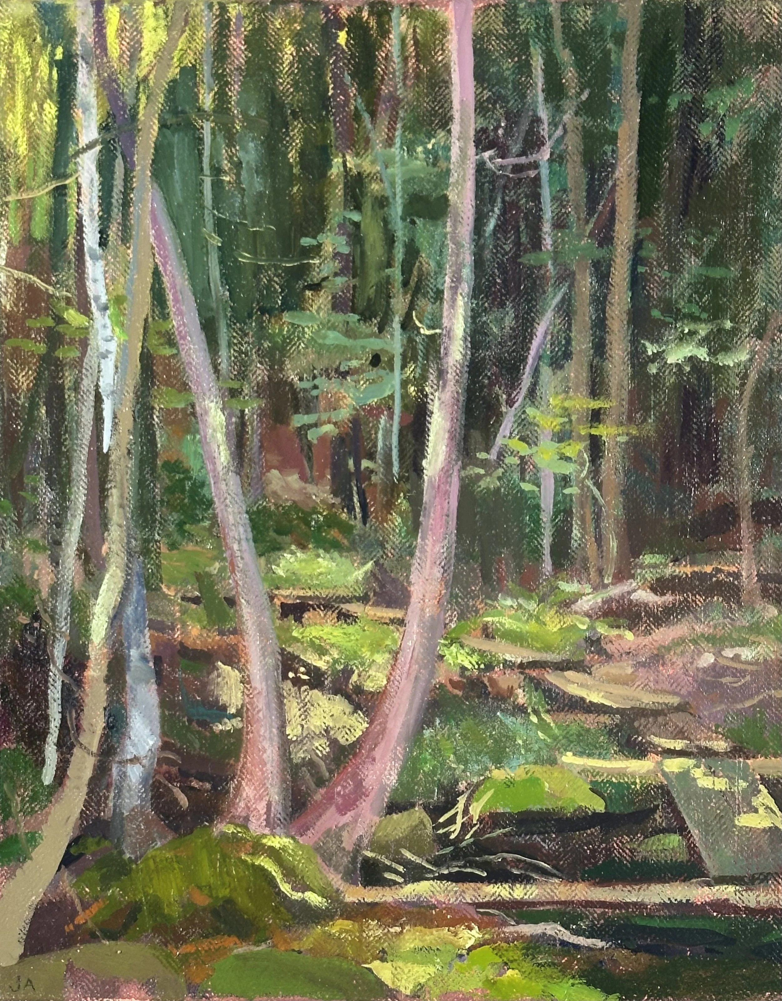  Maine Wood 4  oil on linen, 16” x 20” 