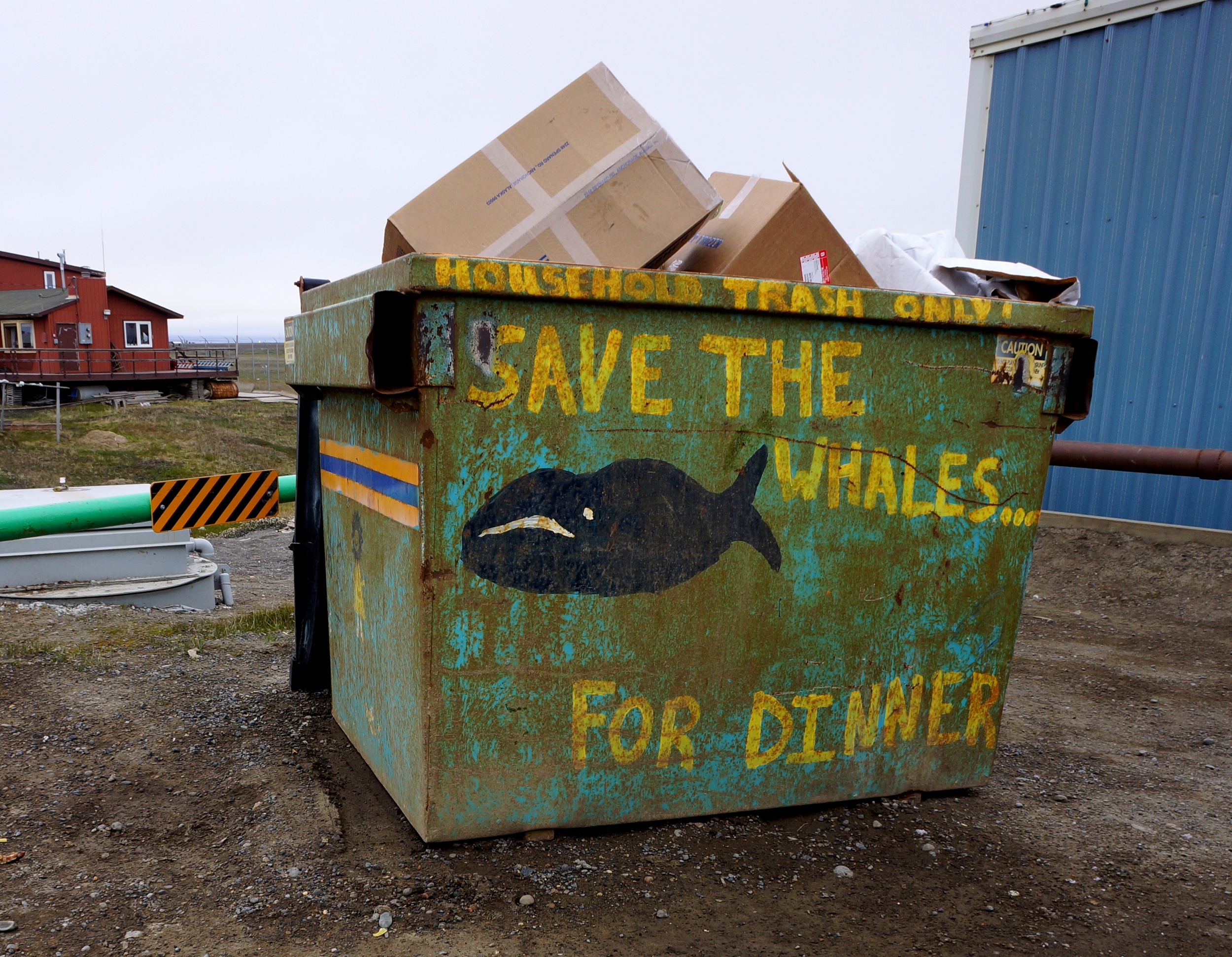 save the whales.JPG
