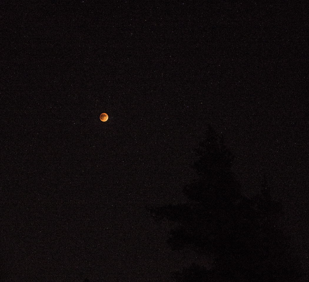 The Blood Moon
