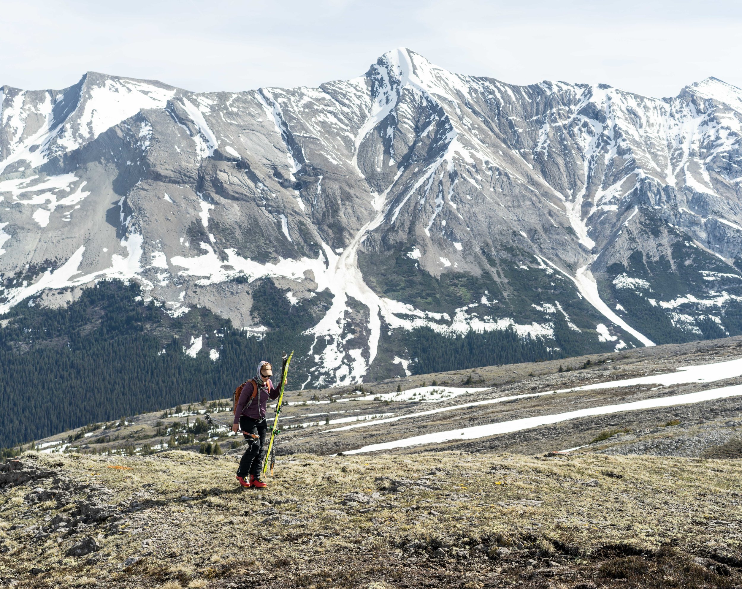 The Canadian Rockies: The Rockies are an incredibly accessible patch of HUGE mountains. We found snow to the road at Parker Ridge, a popular touring destination on the north end of Banff National Park. From the ridge there are epic views of the Saskatchewan Glacier and big mountain of the range. I think Parker Ridge marked 30 consecutive months of ski turns...
