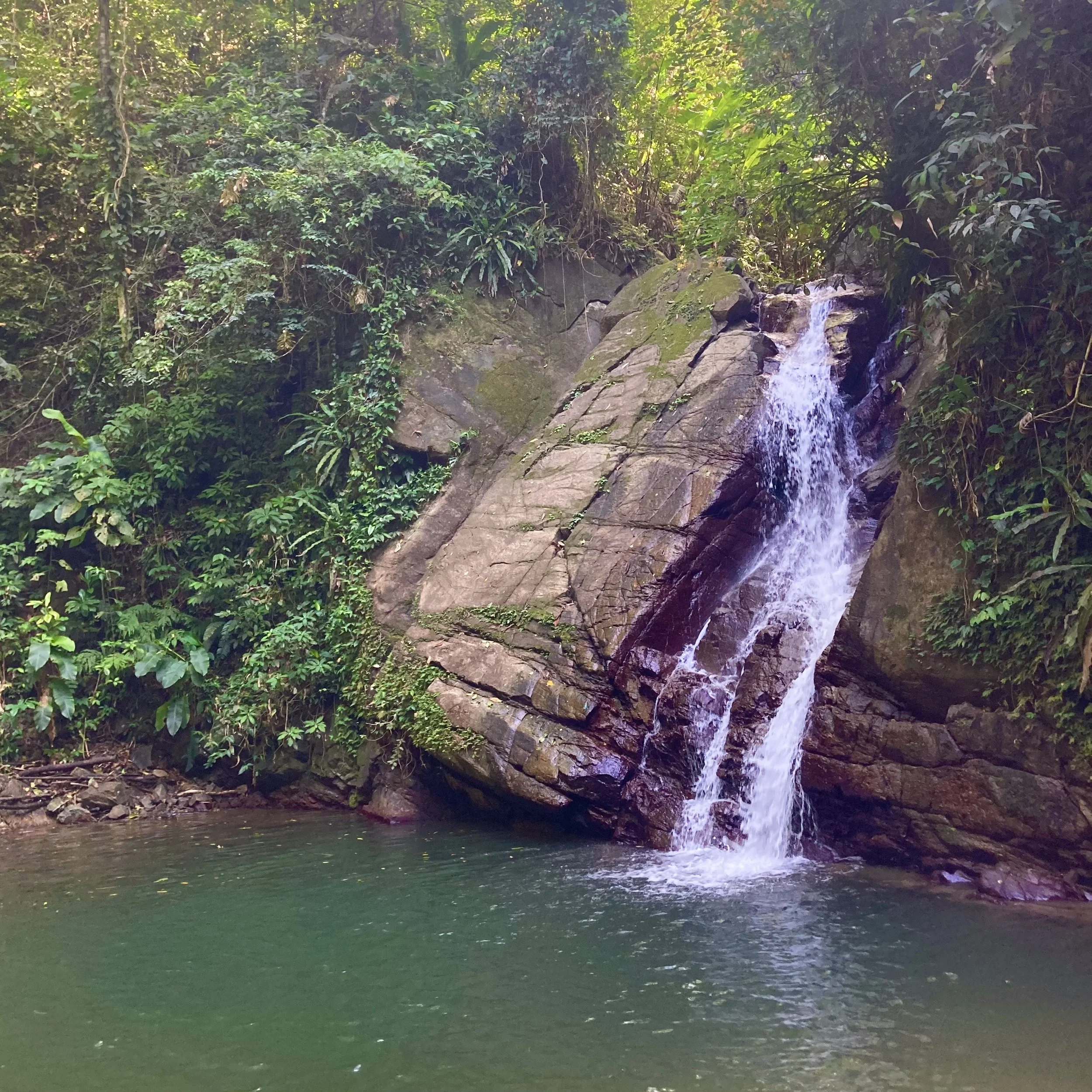 On Creativity and Rest