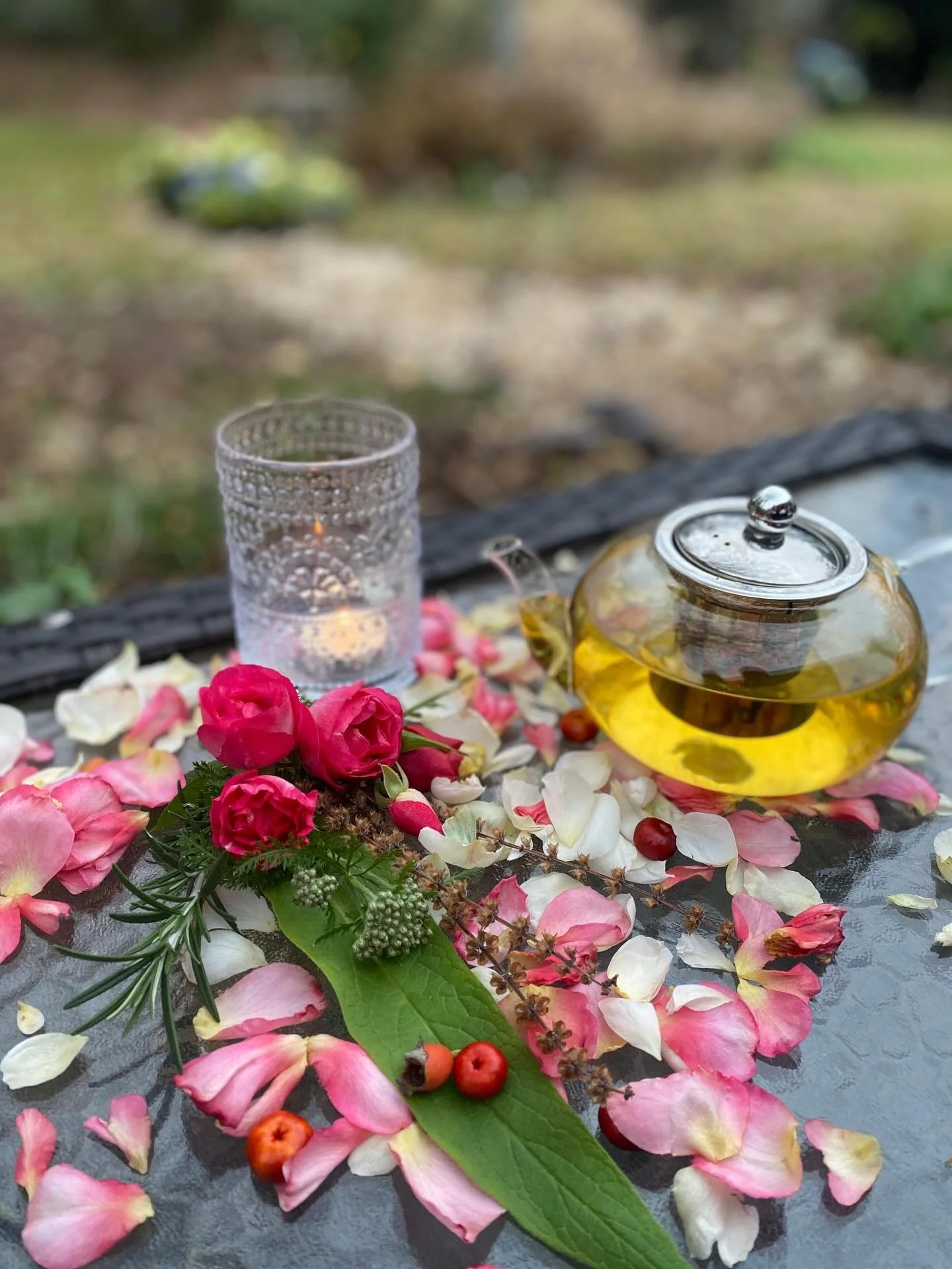 Happy Winter Solstice. ✨🌲🕊️
Today is a time to honor what has ended and what is quietly waiting to be reborn. 
My solstice ritual included gathering from the garden things of meaning, using them in my prayer and blessings. Releasing what is old, ti