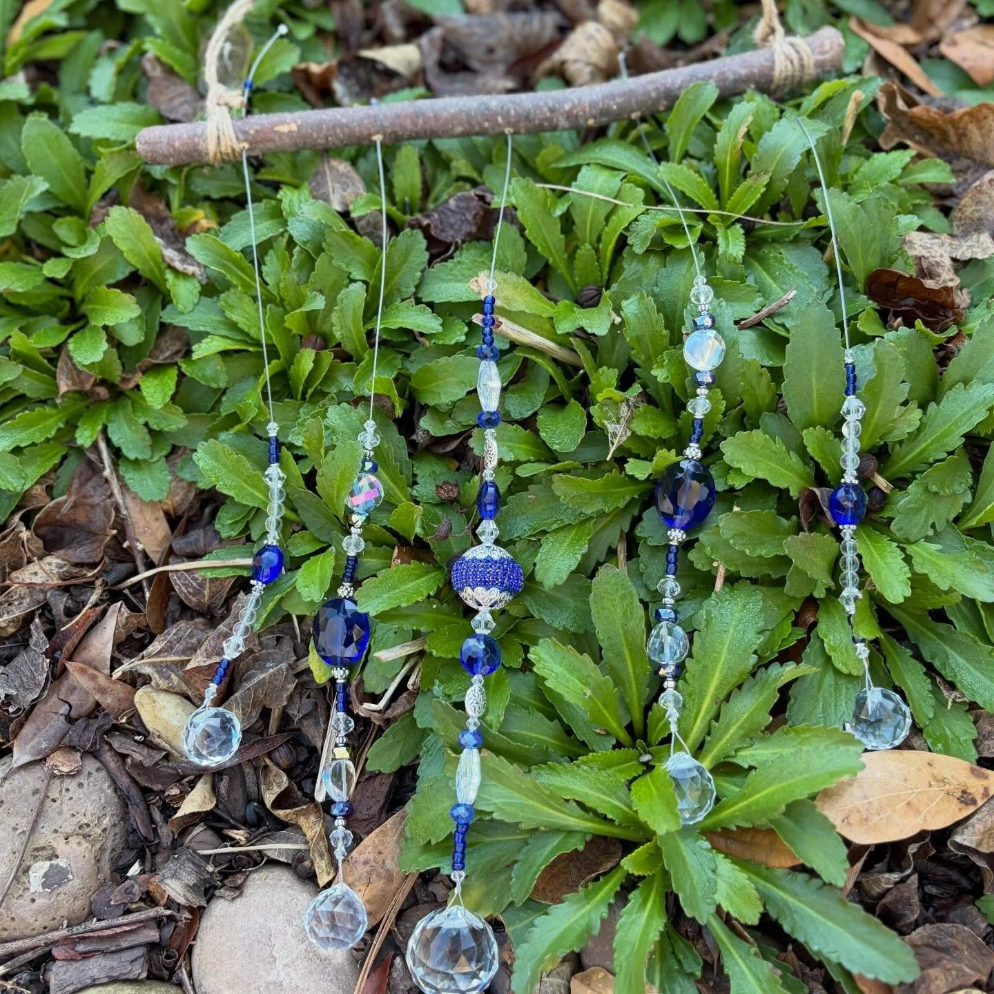 ✨ Quick shop update ✨
So many beautiful things unfolding&hellip;

✨ New suncatchers arriving this week
✨ Seeds soon to be sown
✨ 10% off all teas through Feb 7
✨ Fire cider class this Saturday 1&ndash;2 spots left
✨ Valentine&rsquo;s tea tasting on F