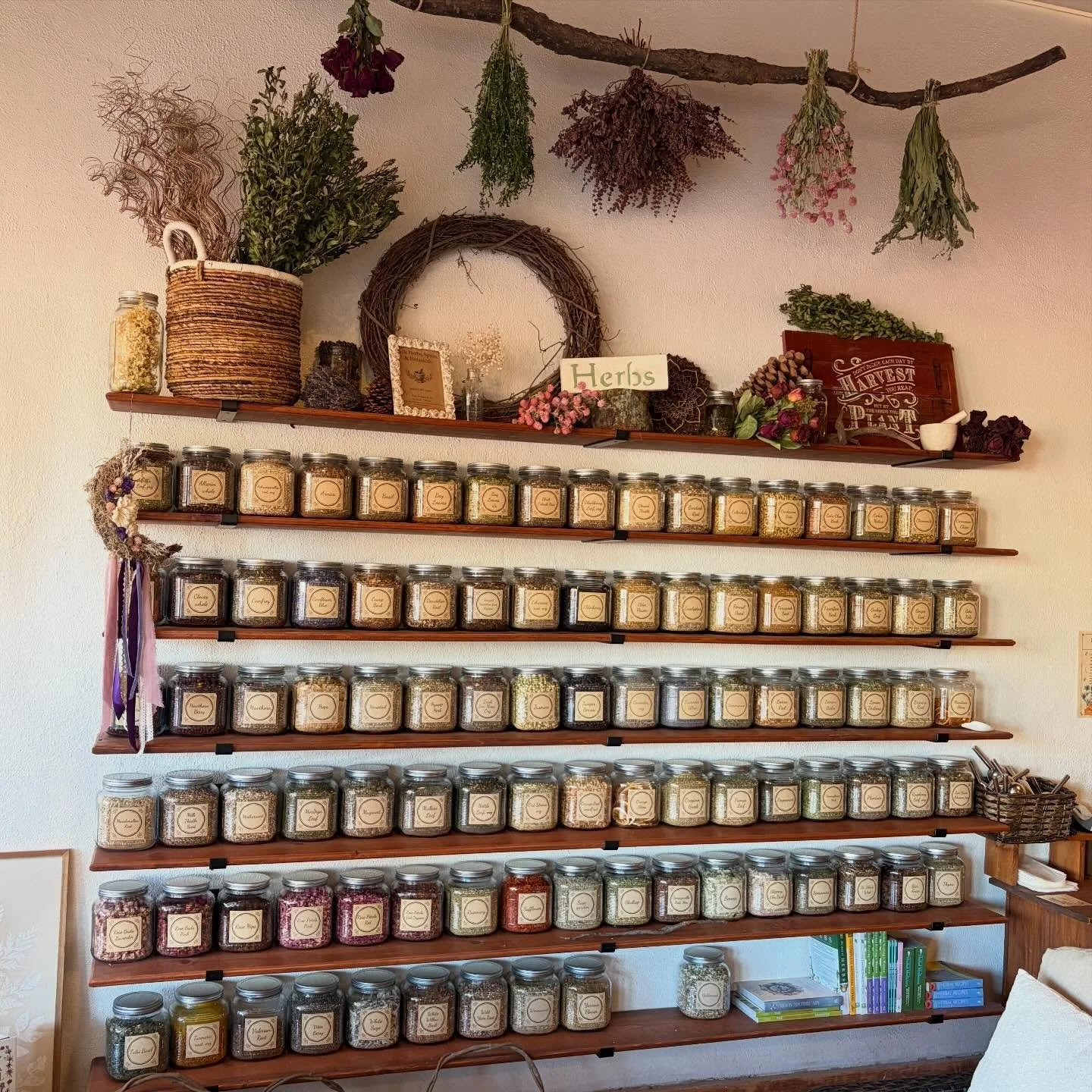 This place exists in East Texas. 🍃

#apothecary #deepintheheartoftexas #easttexaslife