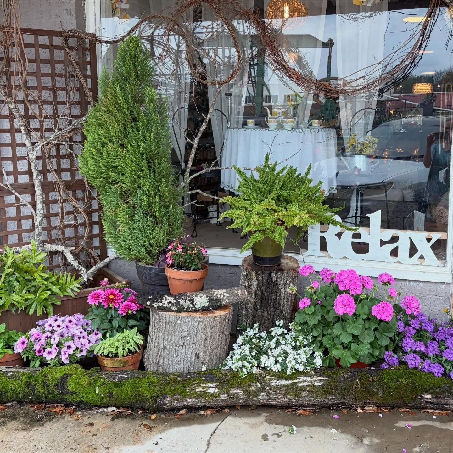 Come get inspired at Three Roots. 🪷🫖

#madeintexas #texasspring #easttexas