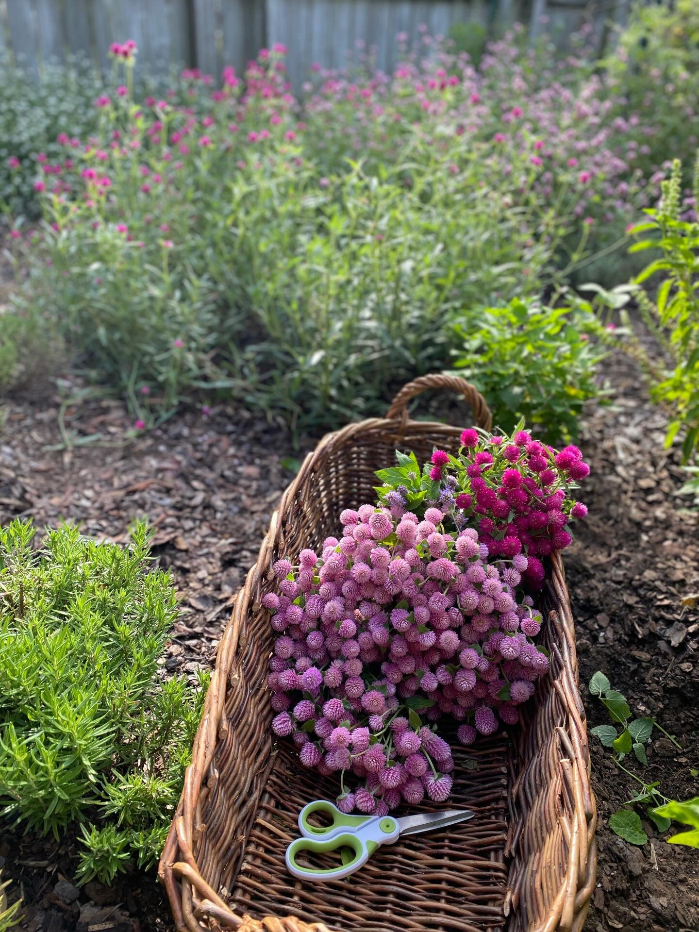 Self care is not an option. It's a priority. Feeling frazzled? Go sit in your yard for 10 minutes ON THE GROUND. That's why it's called grounded. 😉 💕🌸

#easttexaslife #selfcareforthewin #gladewatertx