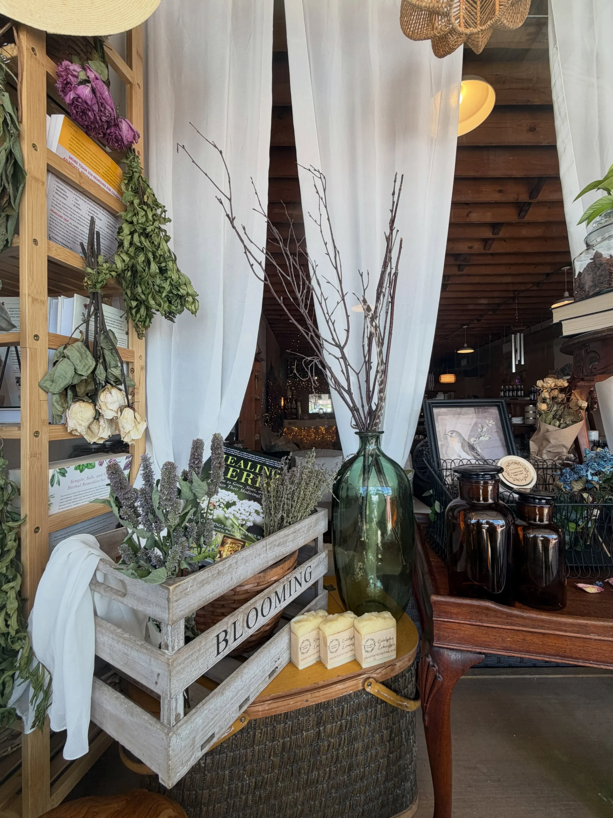 Our new storefront window is inspiring! Apothecary style and cottagecore decor is some of my favorite. Make your surrounding fit you... not the other way around. 😉🌿🍵

Thanks to Mindy who lives our vision. And created the window. 🥰

#easttexsslife
