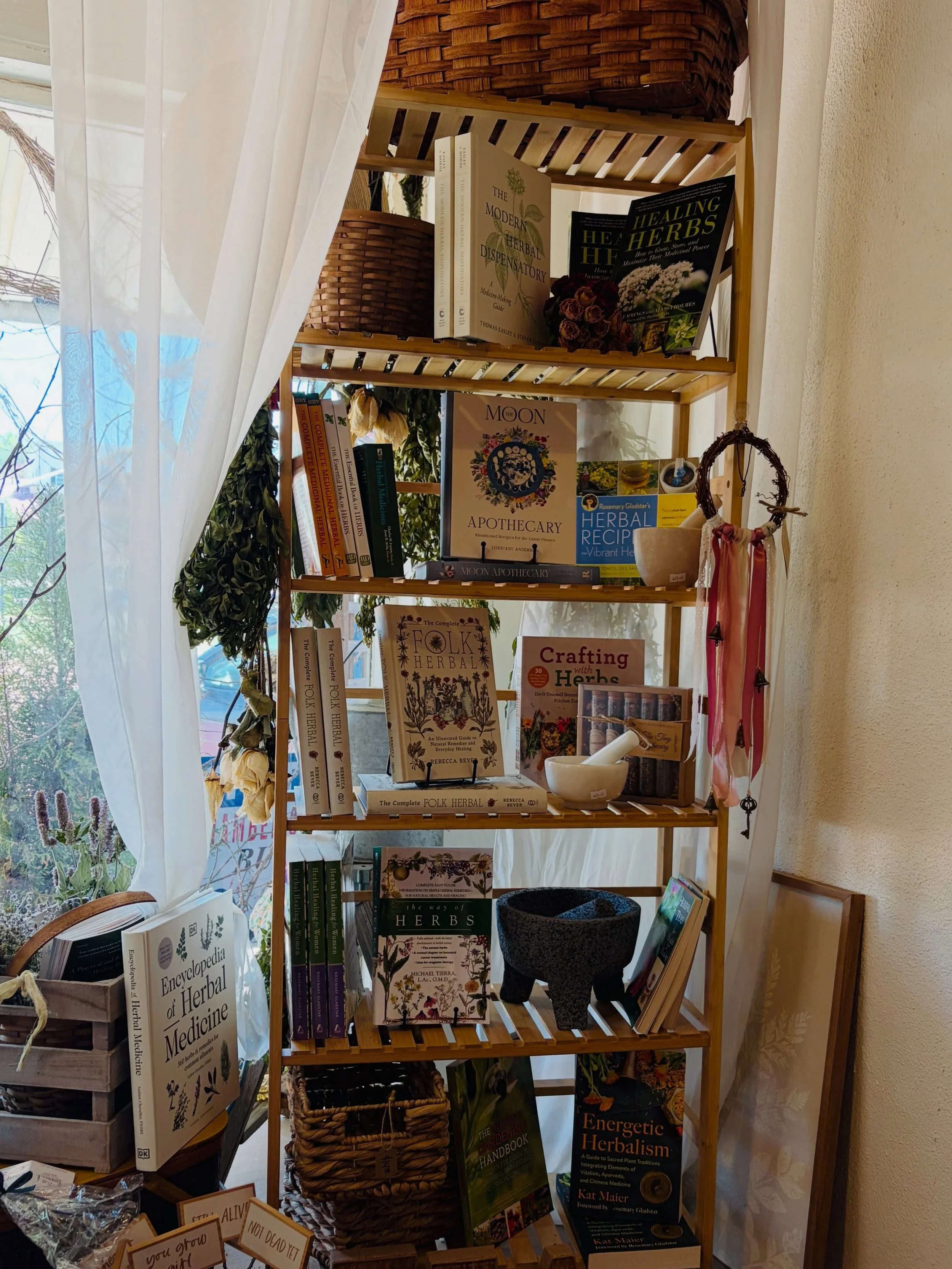 ☀️ Too hot to be outside? It might be the perfect excuse to slow down and feed your mind.

There is something deeply nourishing about curling up with a good book, a cup of herbal tea, and learning a new skill. Every page you read expands your confide