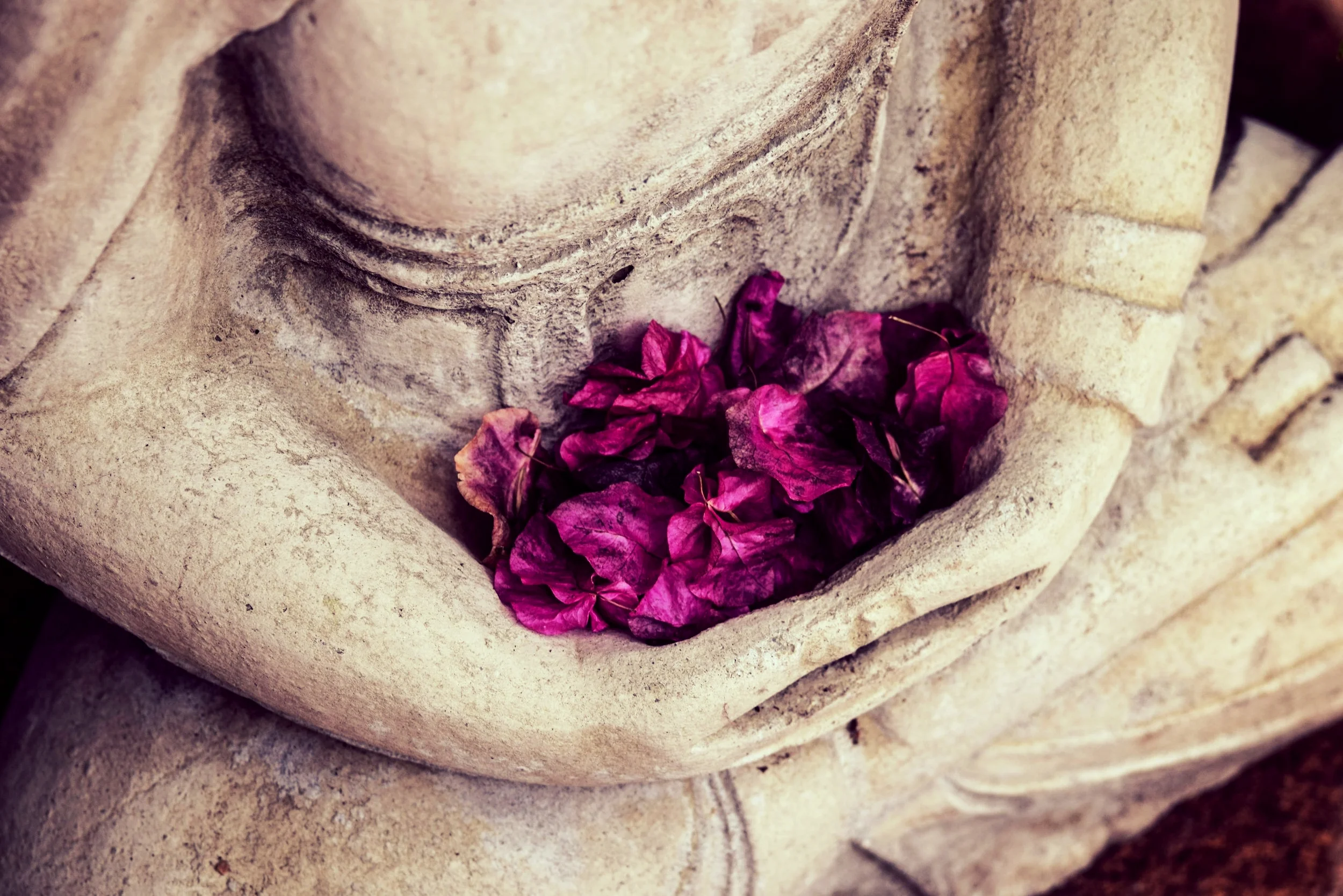 Holding flowers.jpg