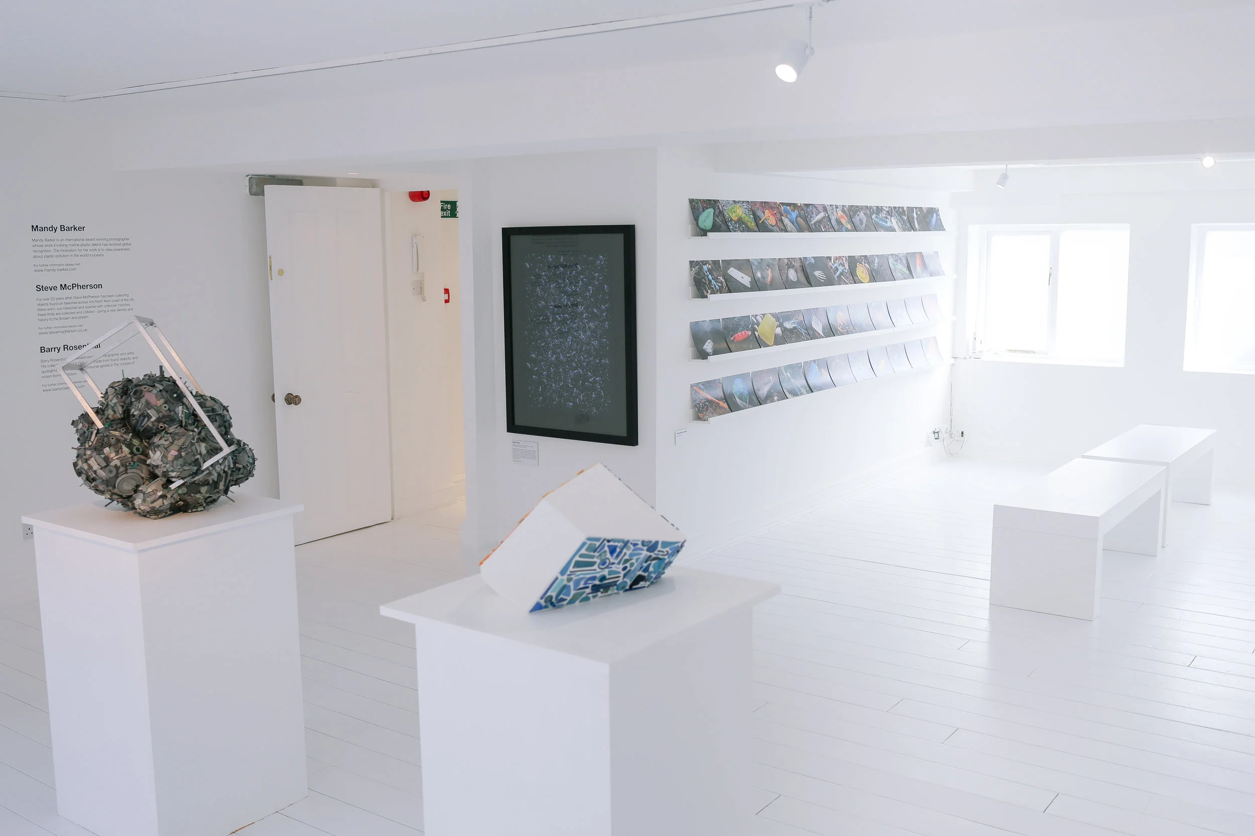 P07B9408.jpg