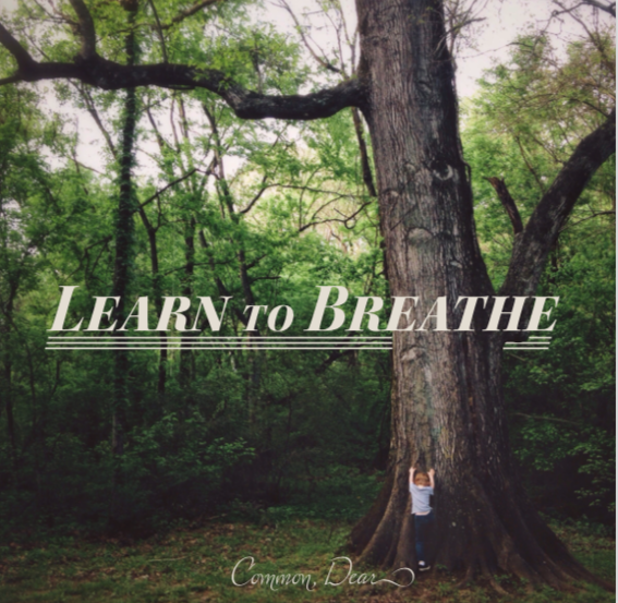 Learn to Breath screenshot cover photo.png