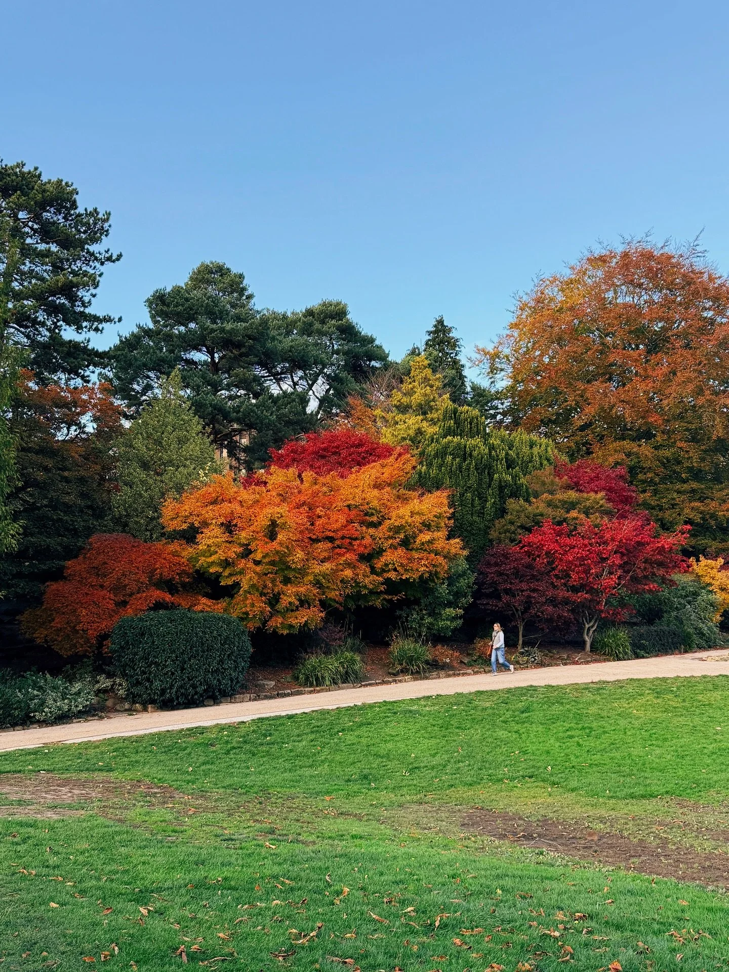 &ldquo;That tiny glowing world of metrics cannot compare to this one, which speaks to me instead in breezes, light and shadow, and the unruly, indescribable details of the real.&rdquo; - Jenny O&rsquo;Dell 🍁🤎🍄🌞 

_____

autumn in tunbridge wells,