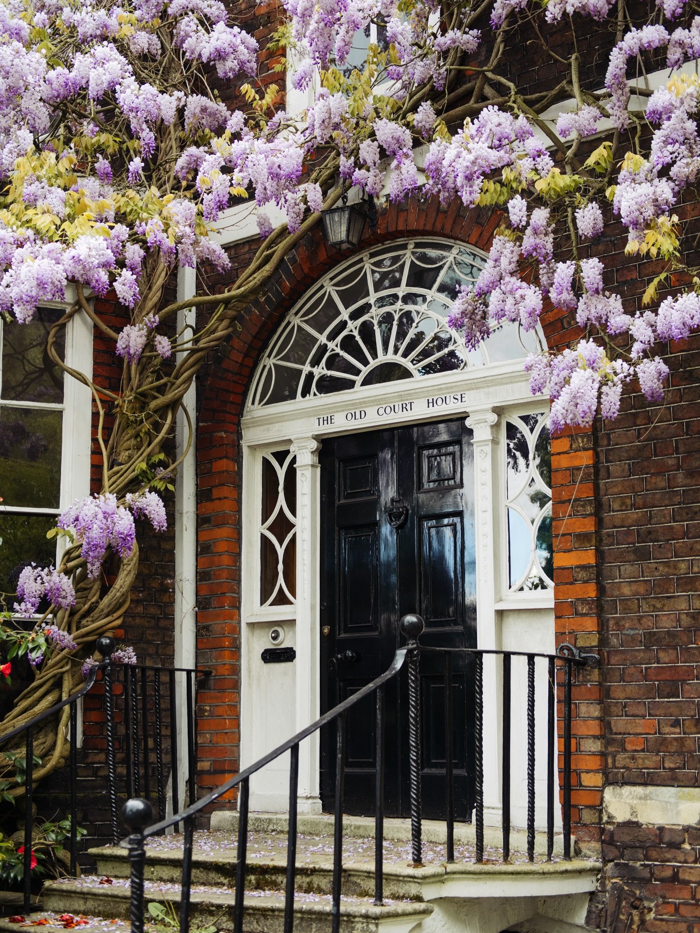 Springtime doorways 🍃💜🌼🪻