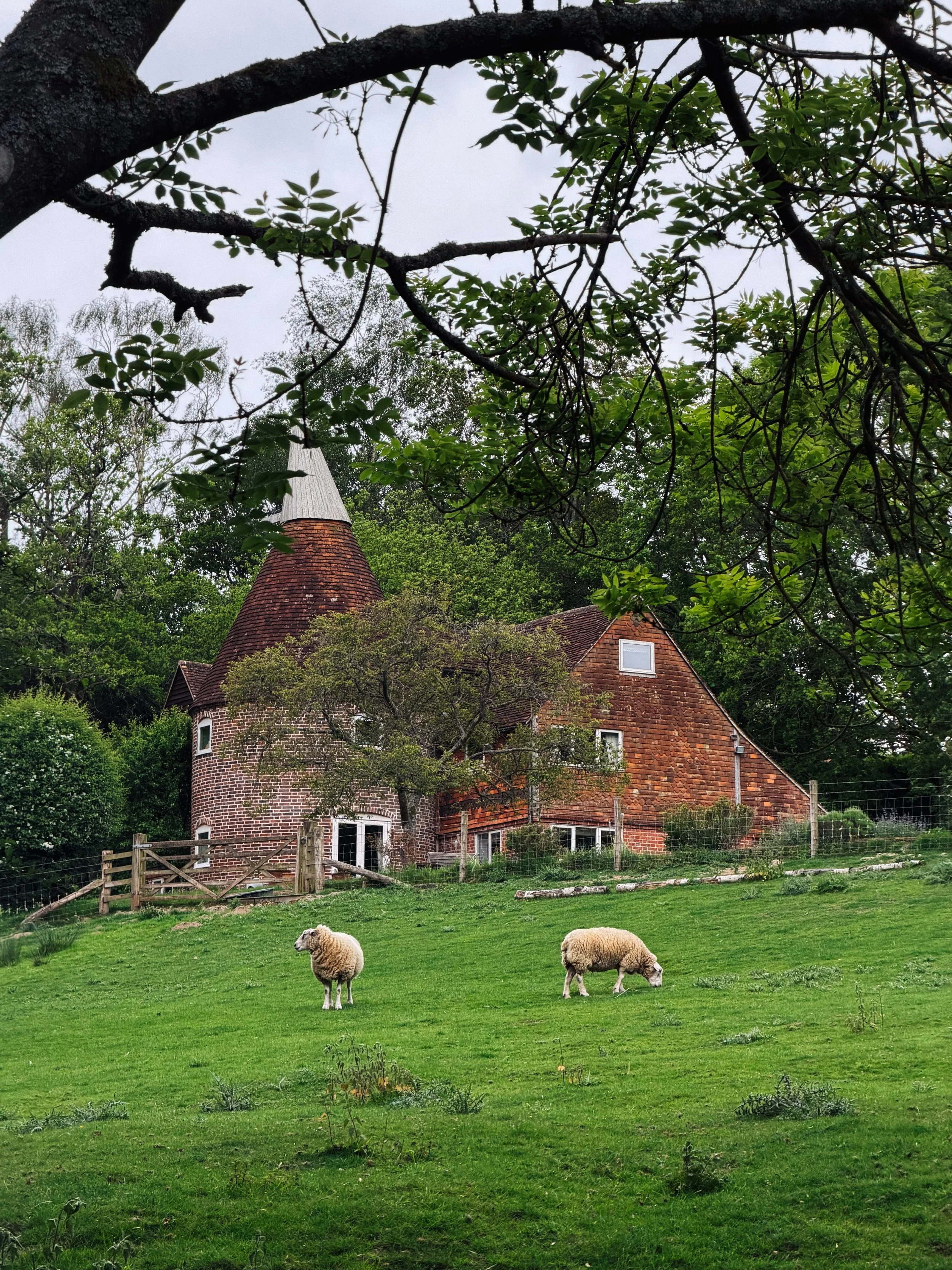 A few snaps from today&rsquo;s long Sunday wander through the impossibly green fields, woodland paths, and winding lanes around Markbeech. 

The countryside in May really is England at its best. The hedgerows are laced with cow parsley, birdsong echo