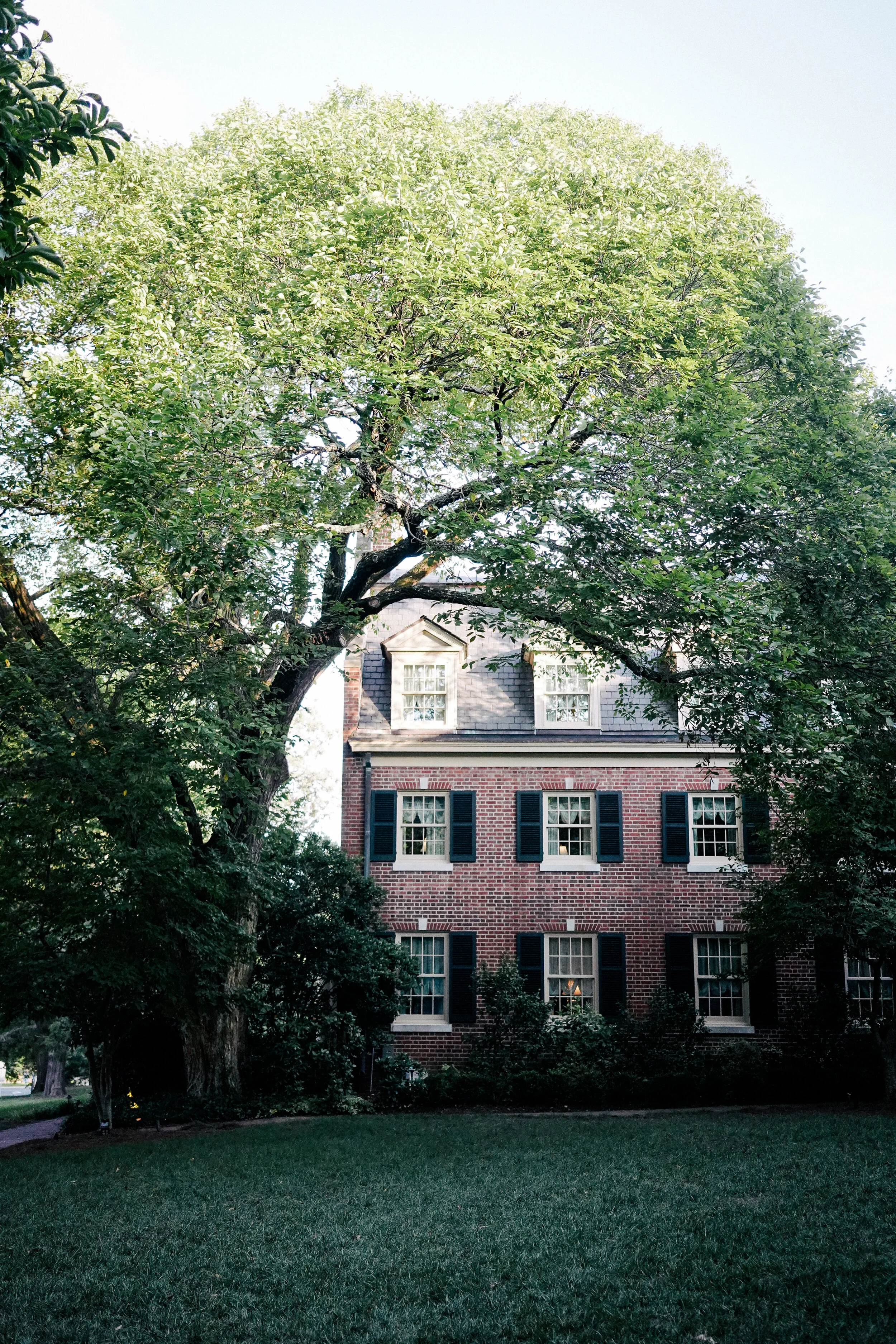 DSC01306-2.jpg