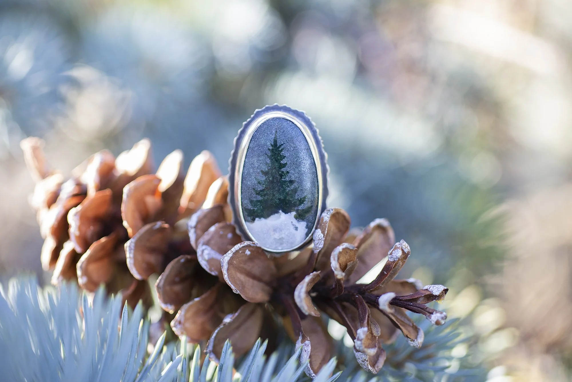 Blue Spruce Silhouette Ring No. 2 ~ Size 8
