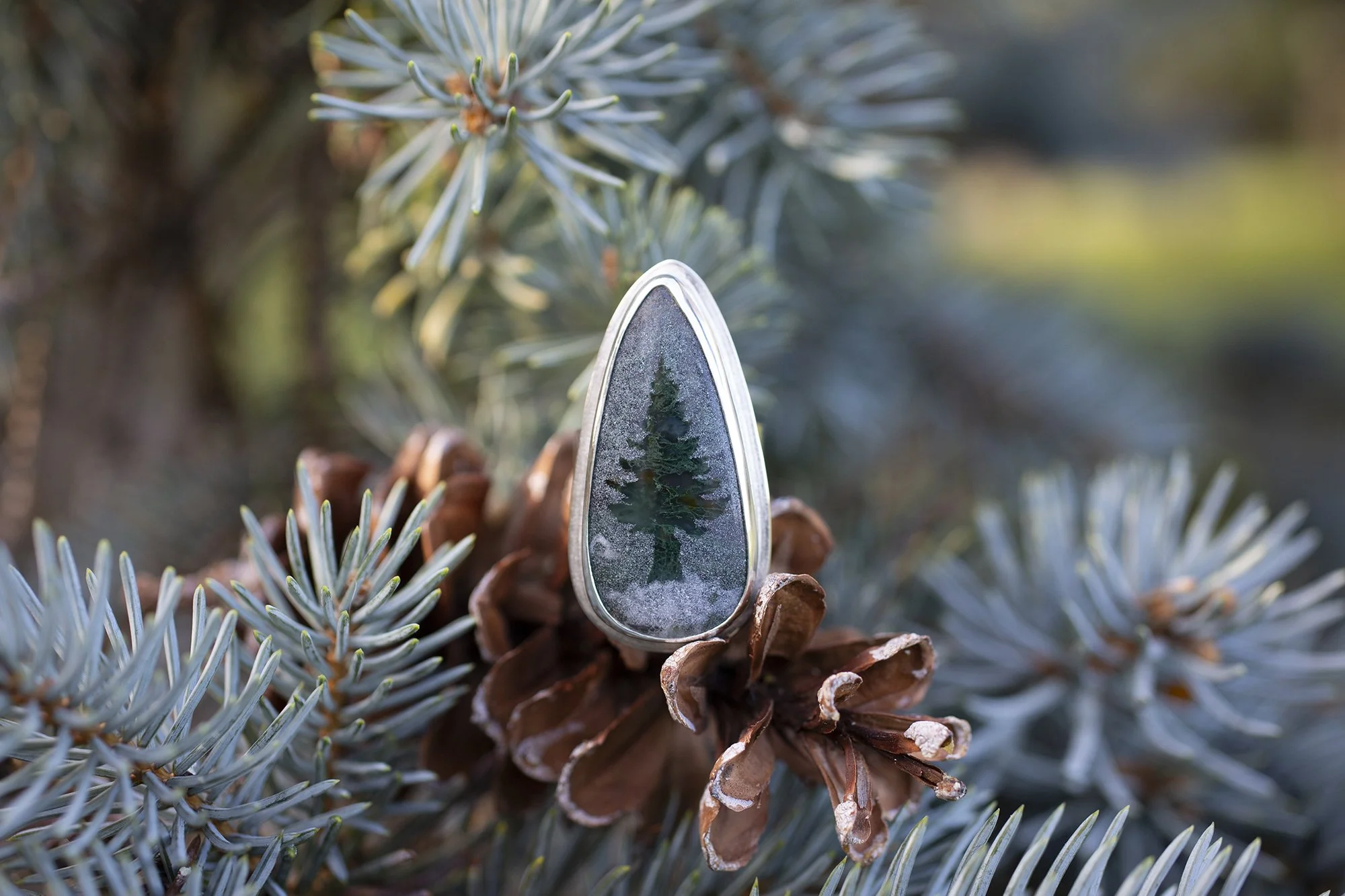 Blue Spruce Silhouette Ring No. 6 ~ Size 10.5