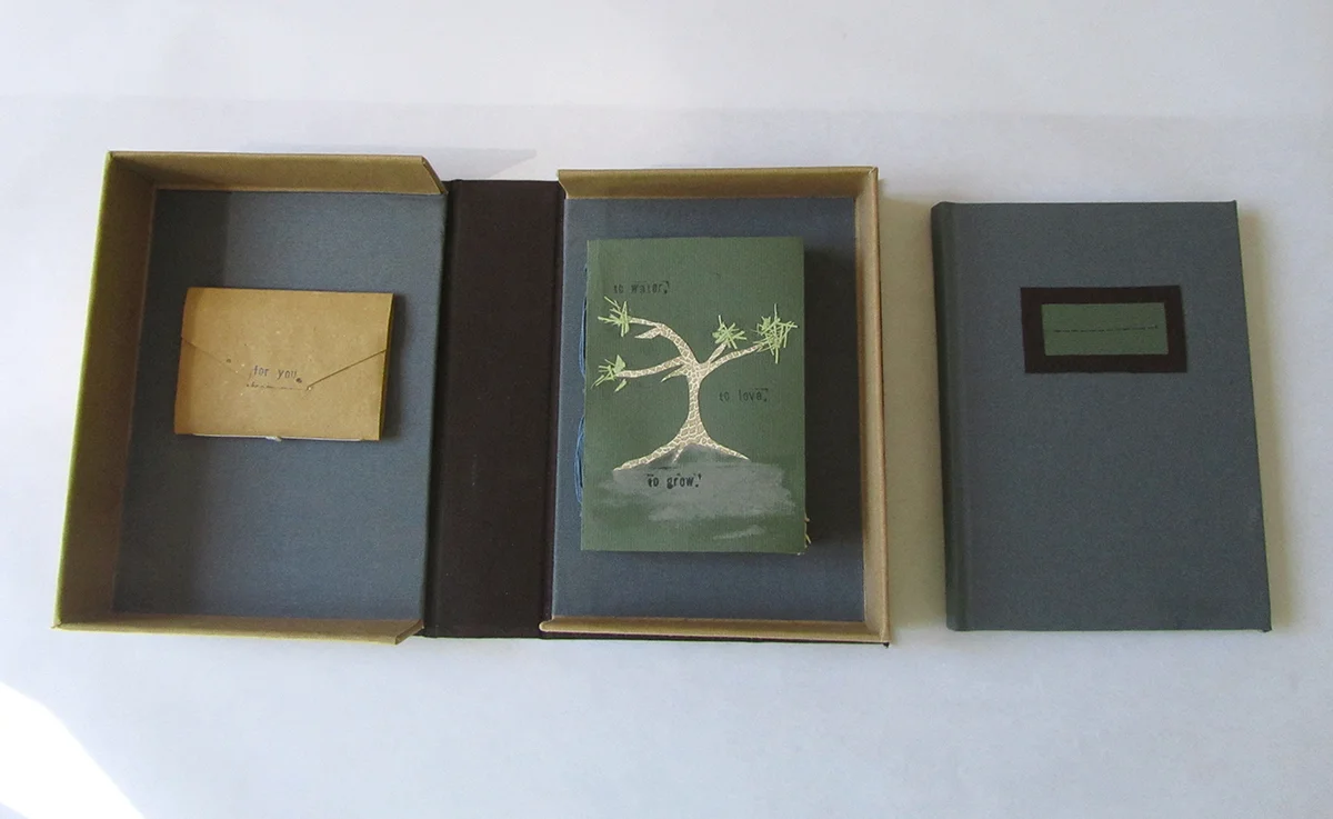 Drop-spine box with case, pamphlet, and long stitch bindings.