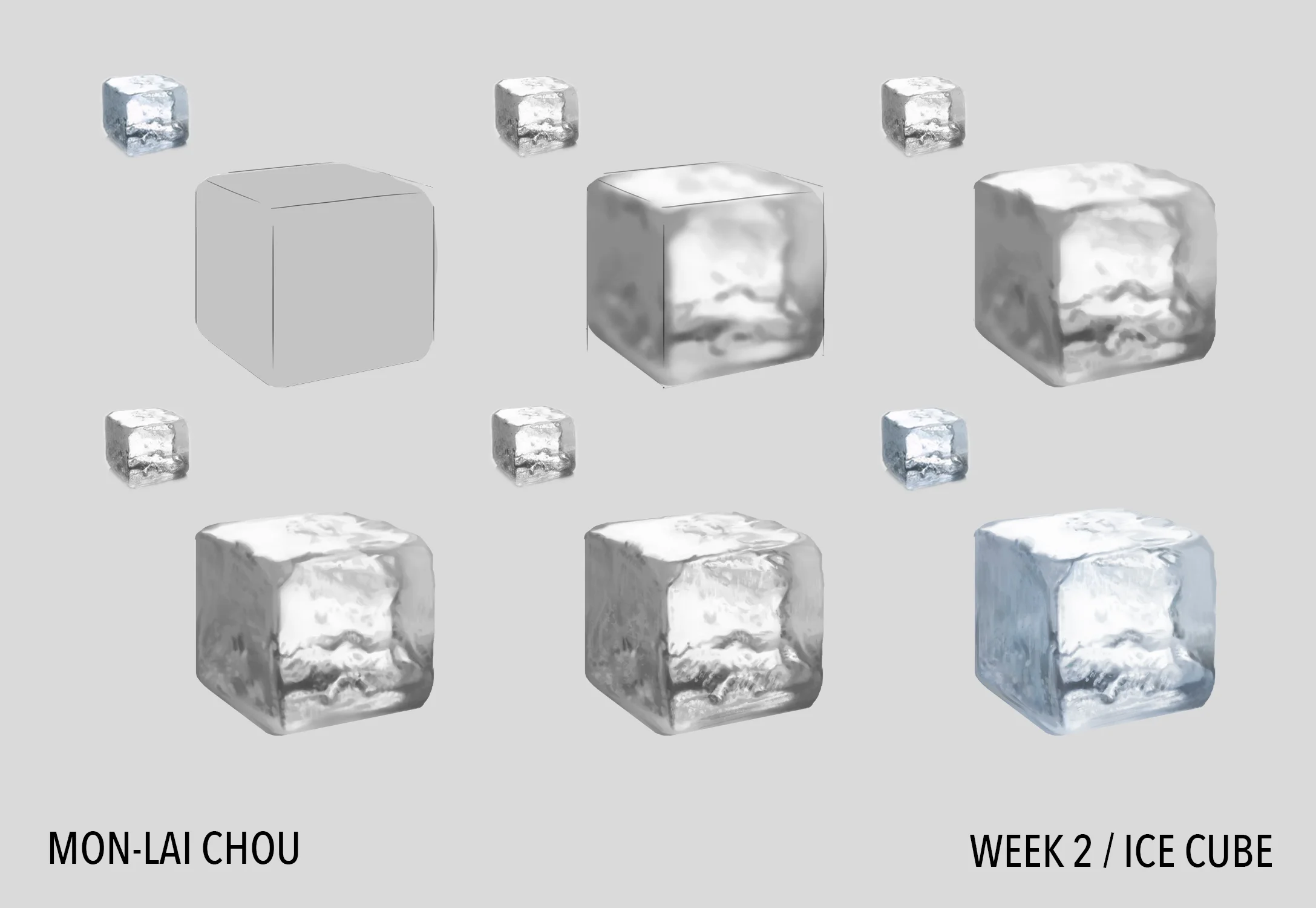 icecubeprocess.jpg
