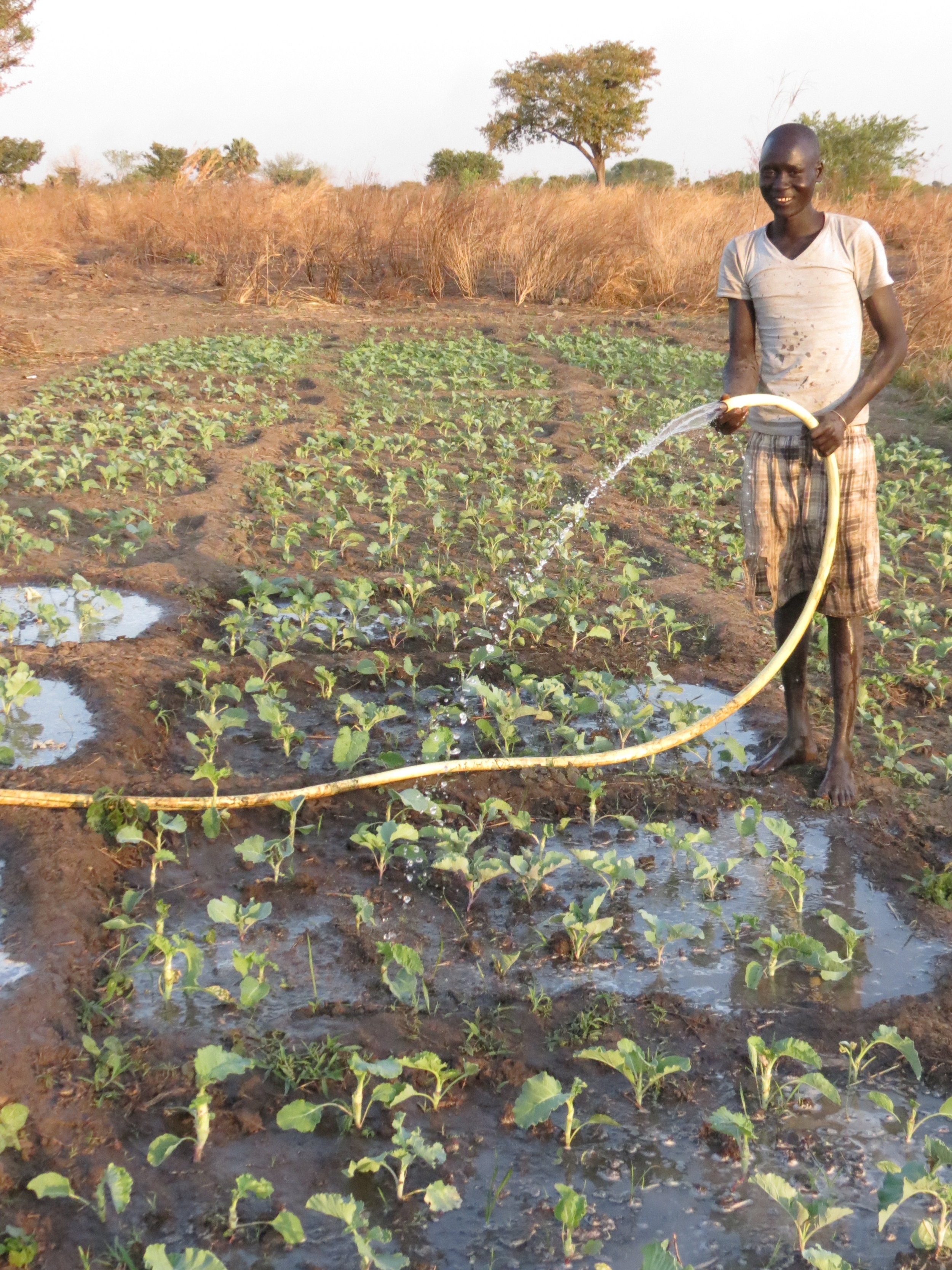 Watering a garden in wau, with water from a wfss well.
