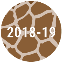 2018- 2019