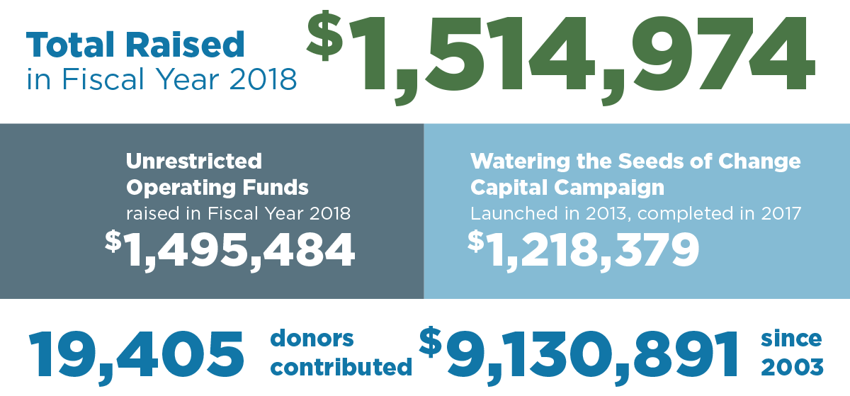 2017-philanthropy.png