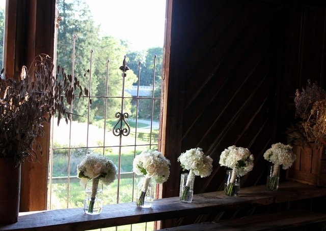 flowers in a row.jpg