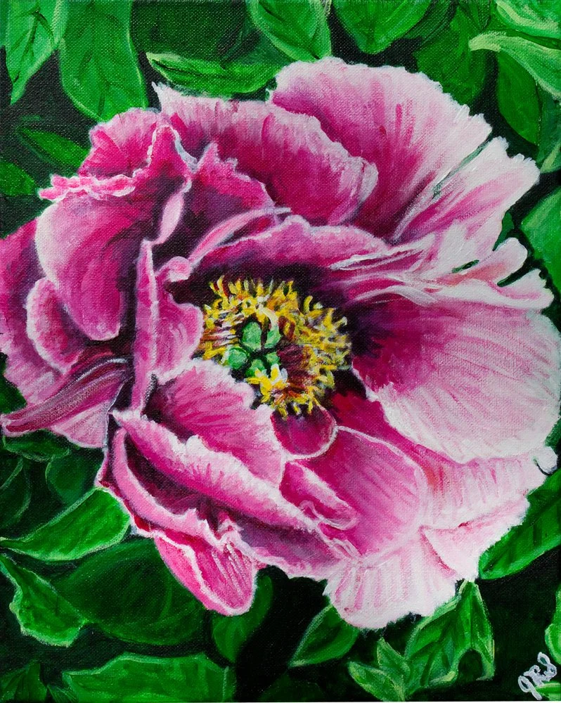 Simack,JuliePinkTreePeony2023.jpg