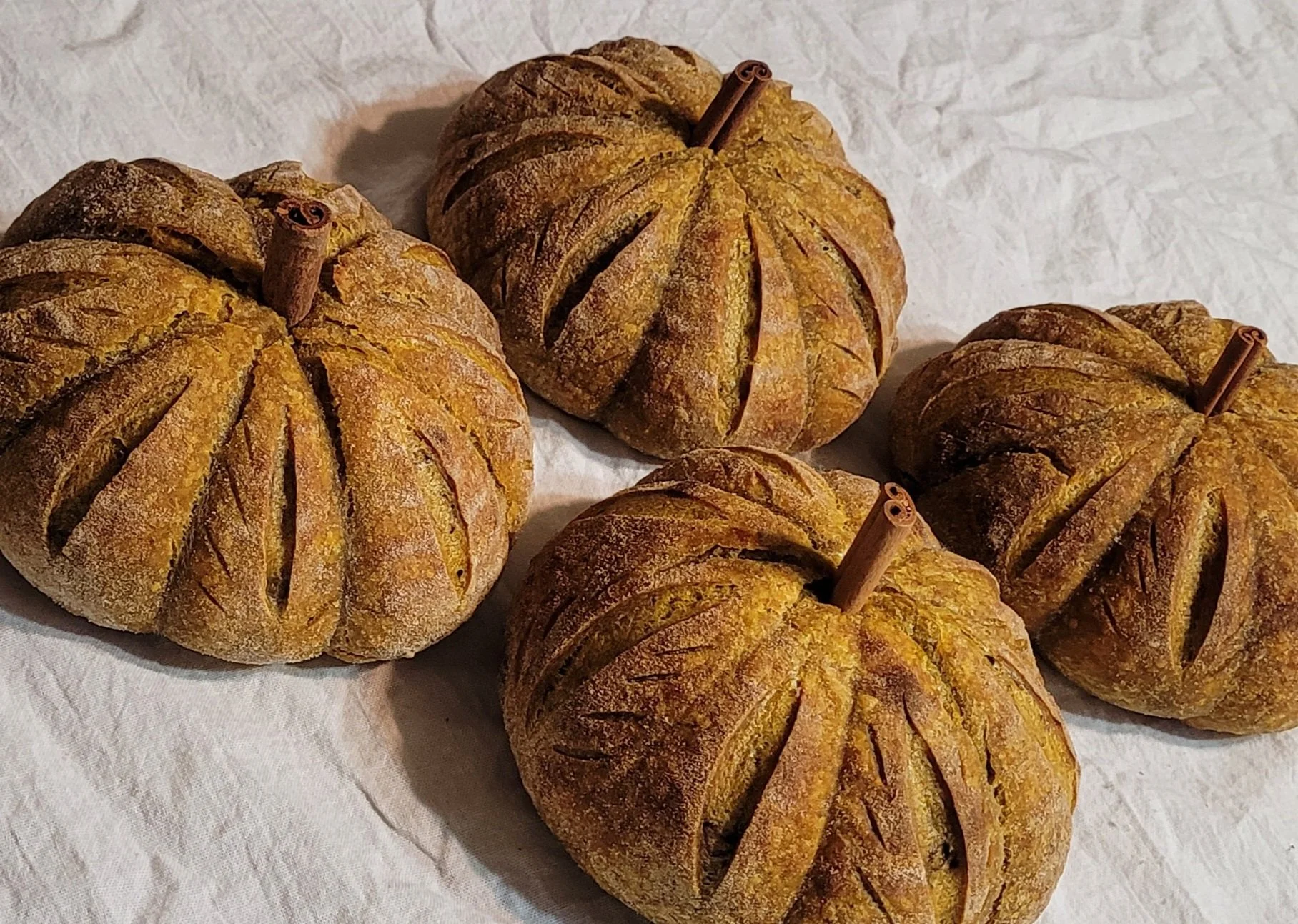 Sourdough Pumpkin Spice $10.jpg