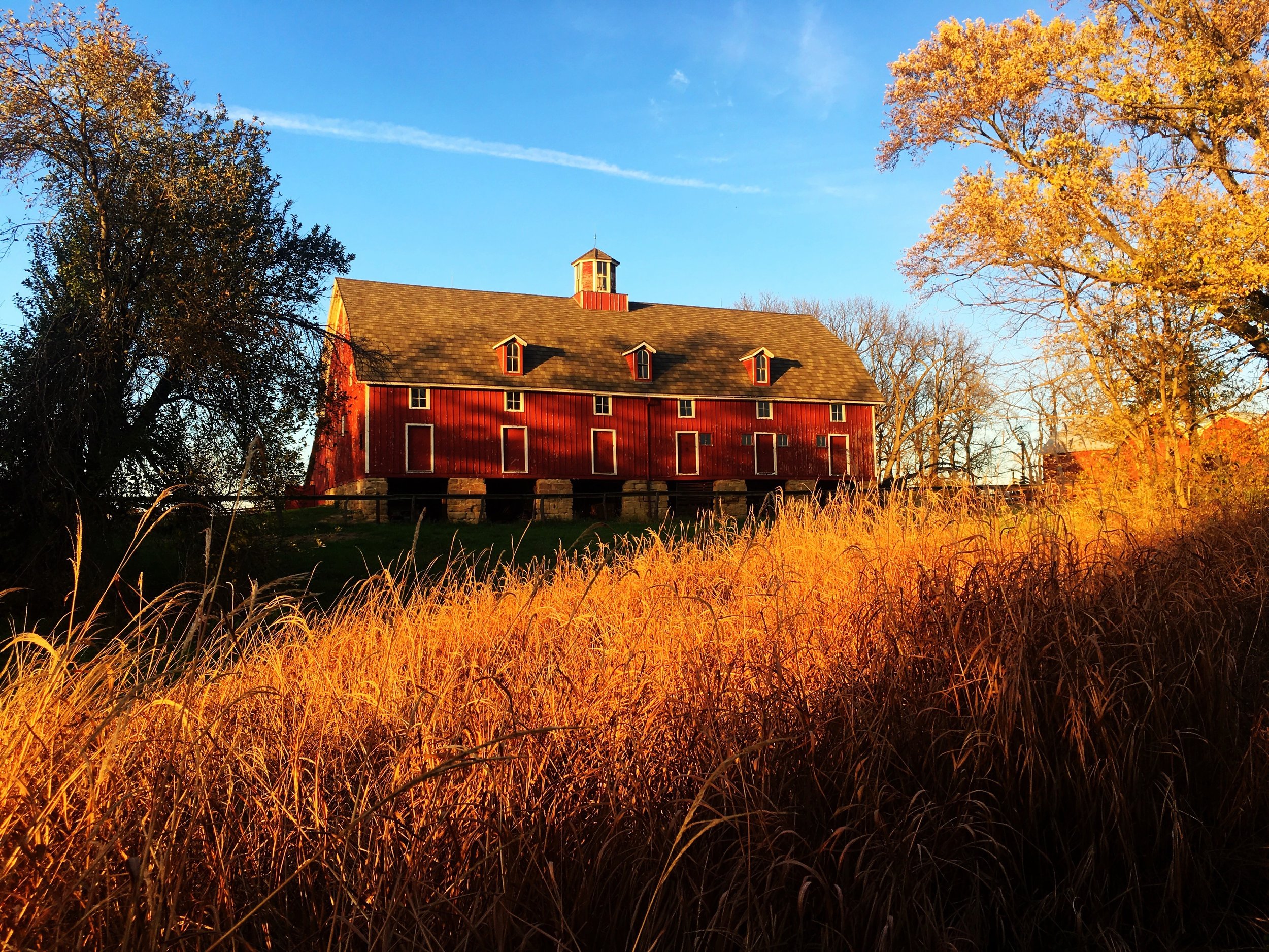 1-Barn in Fall.jpg