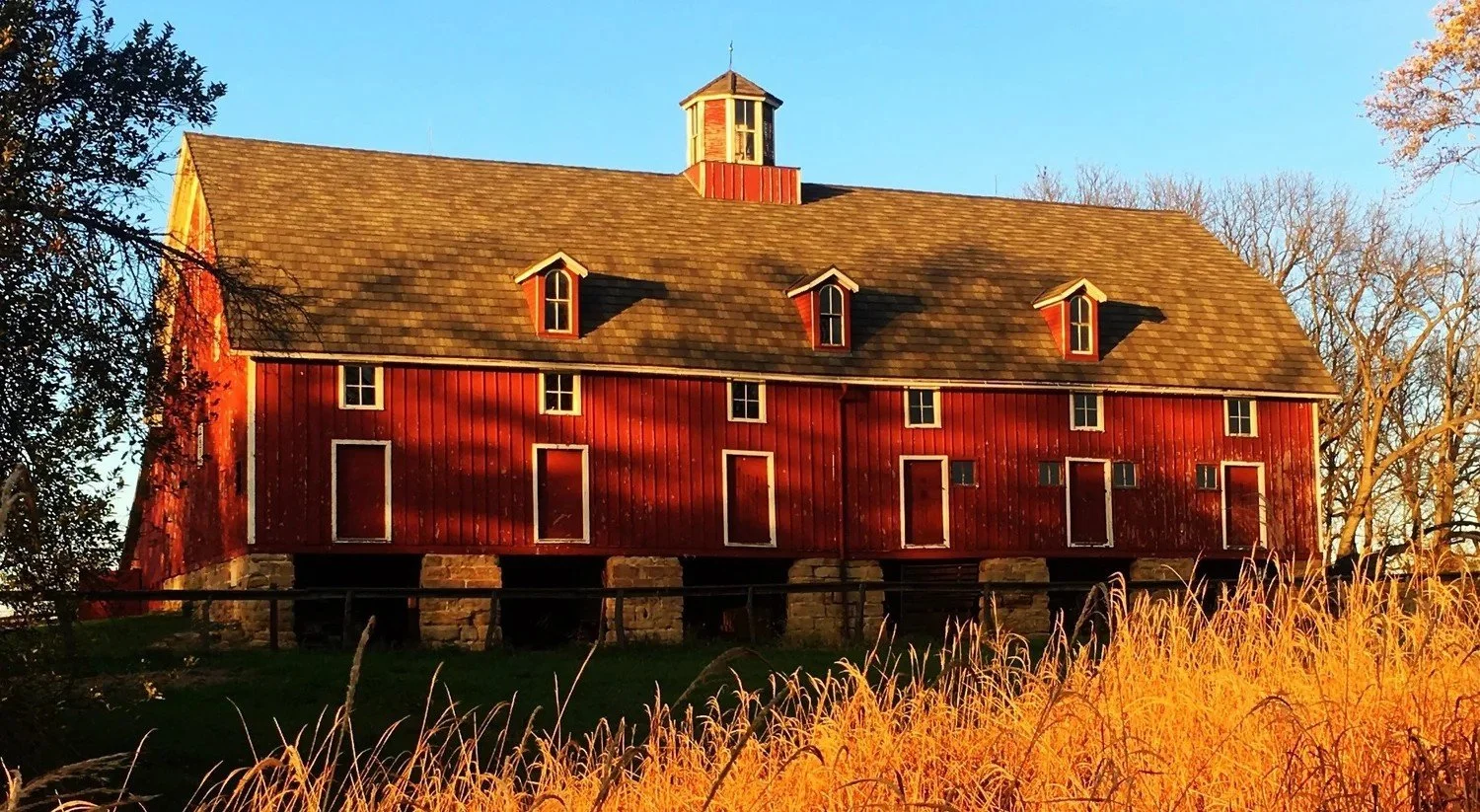 Event background.jpg