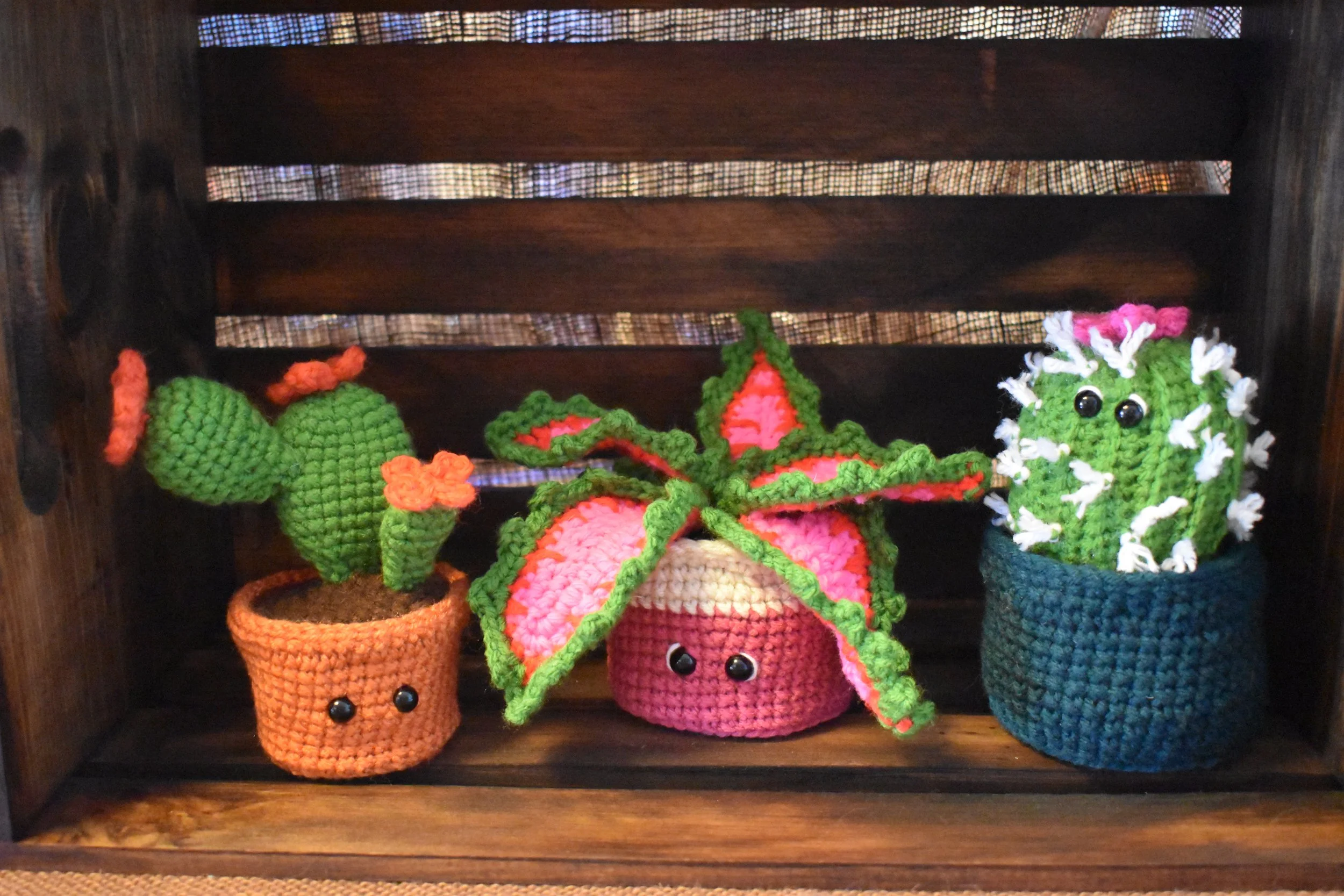 Forever Plants.JPG