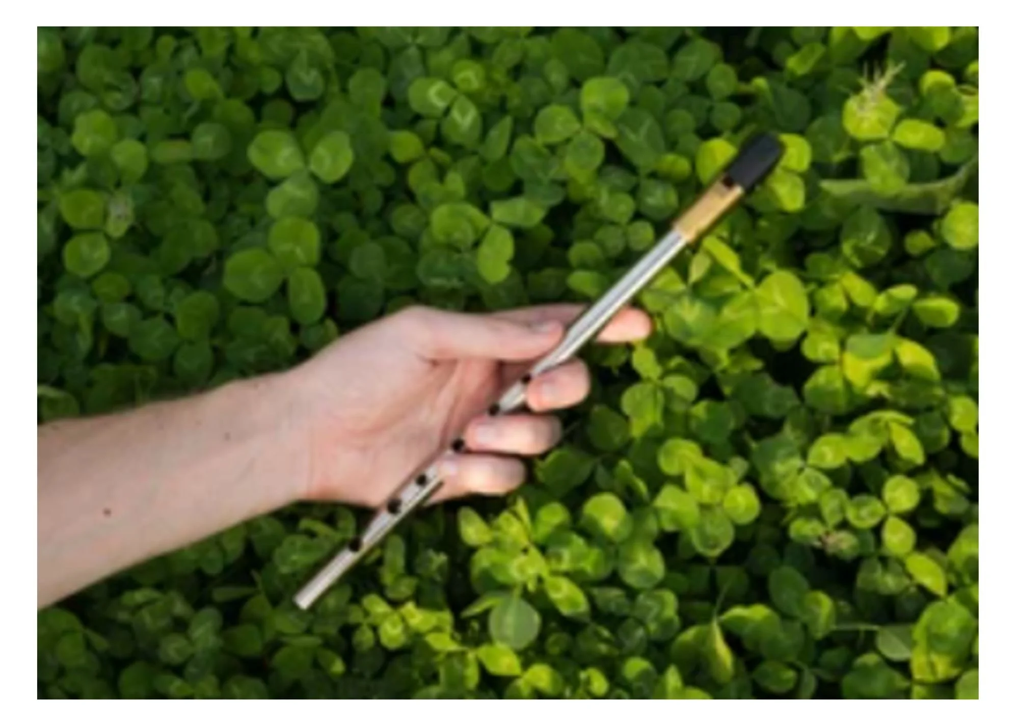 Tin Whistle.jpg