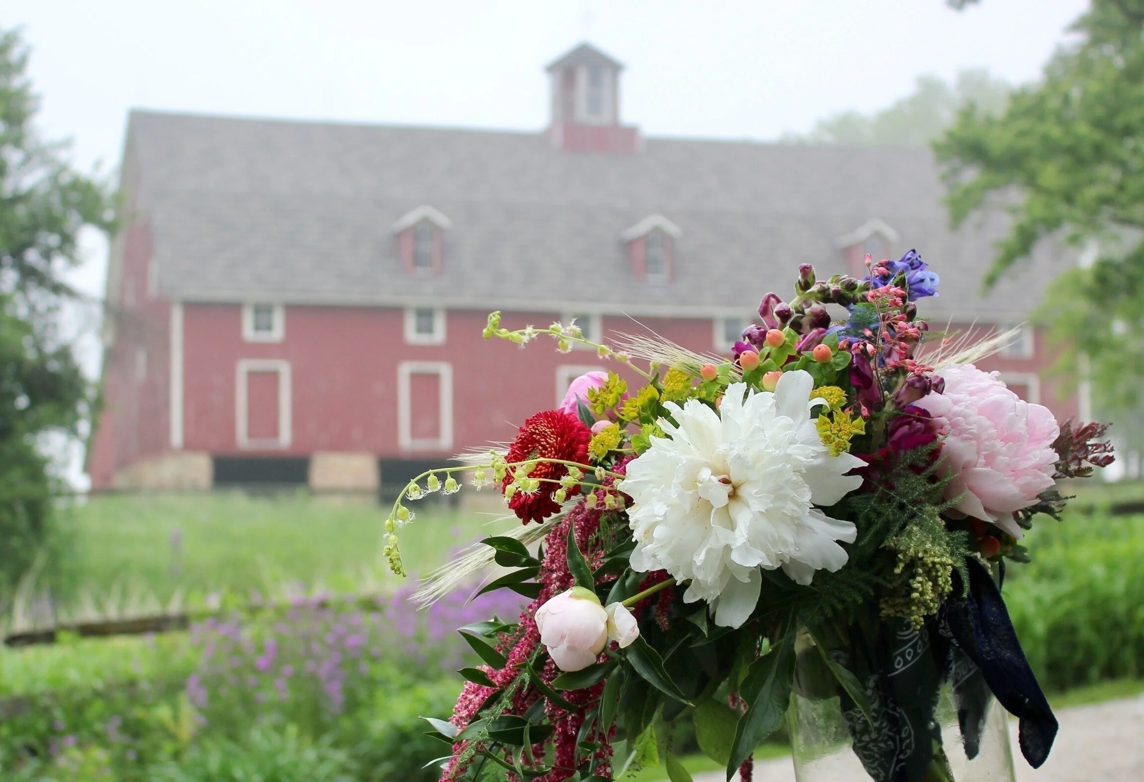 002-02-02-01-13-Barn and Boka.jpg