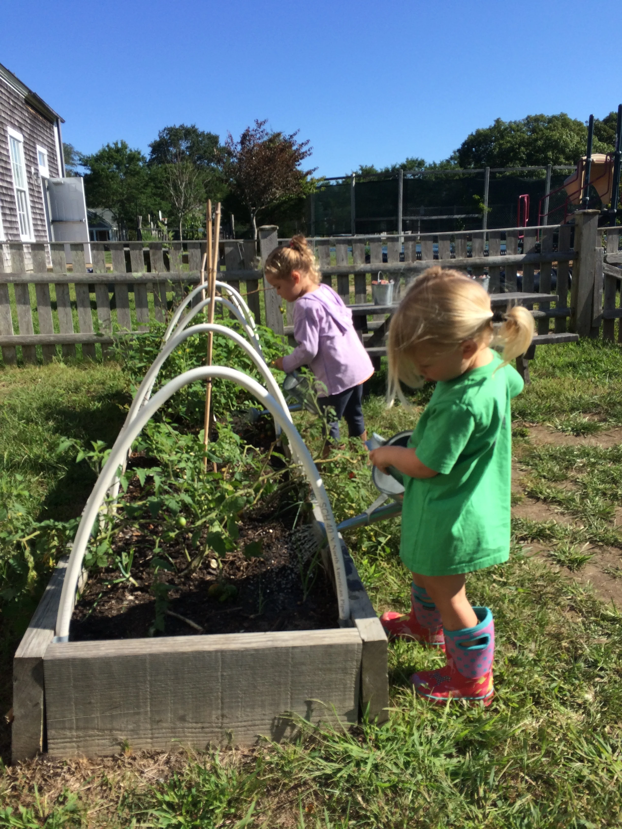 Island Grown Schools