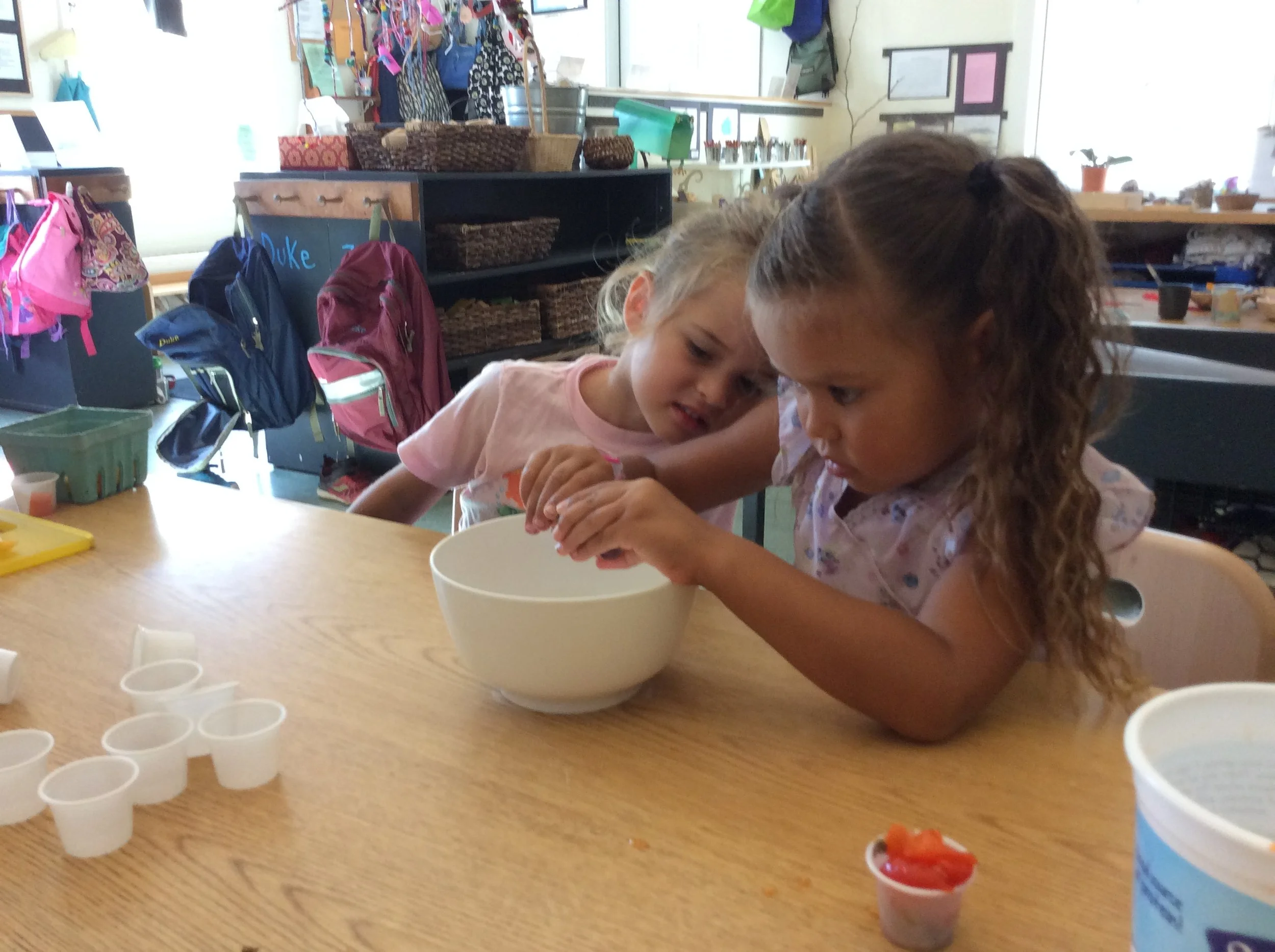 Island Grown Schools
