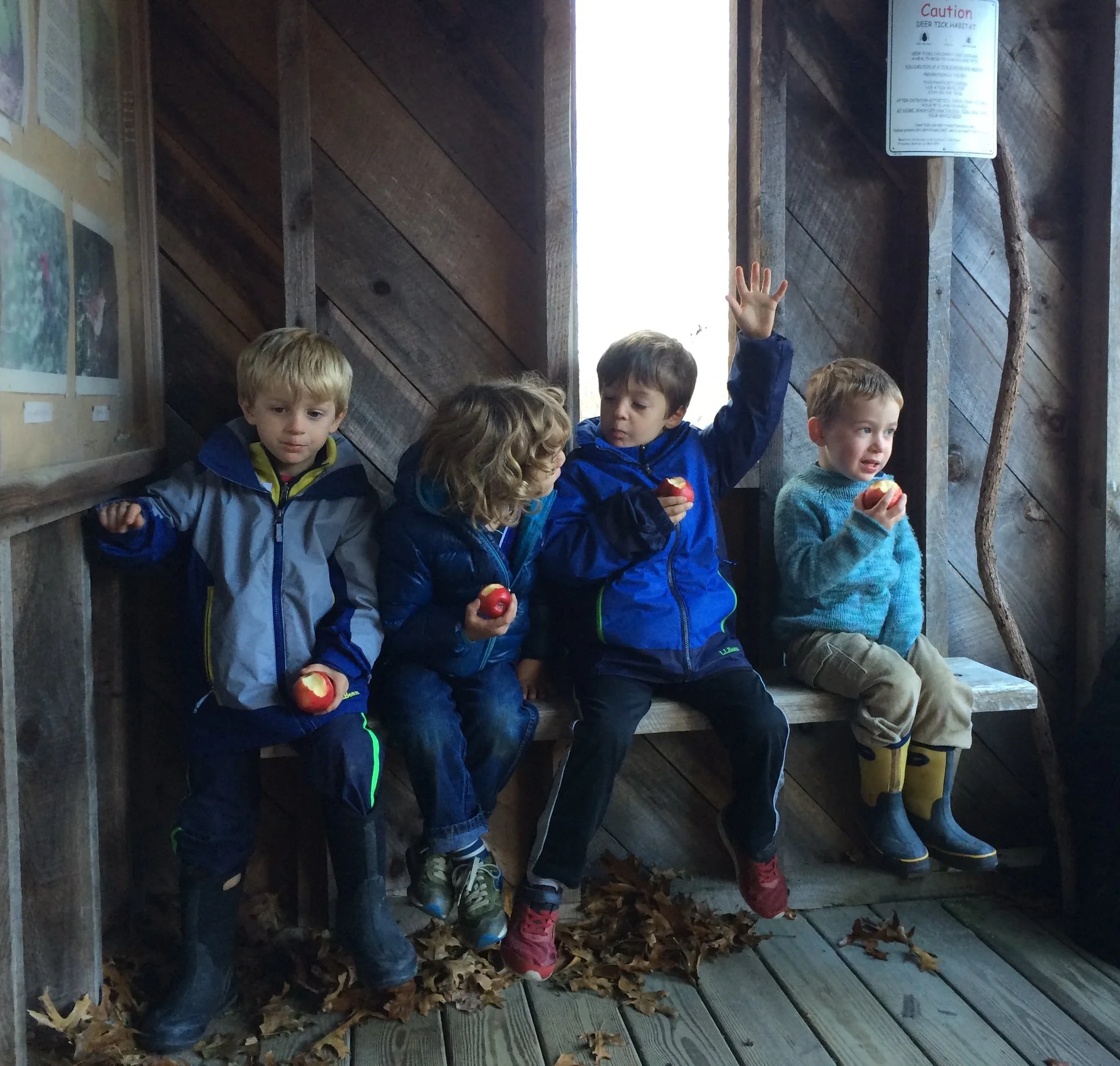 Exploring our Community