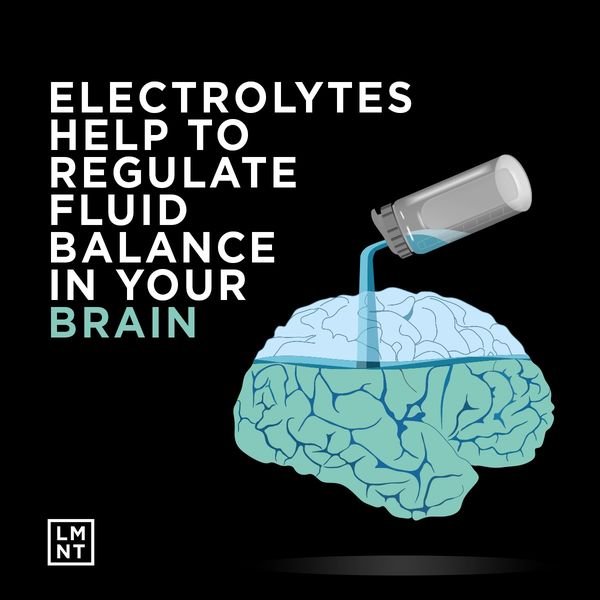 We're carrying a new product in our office- LMNT, a tasty electrolyte drink mix with everything you need and nothing you don't! 

Your brain is suspended in liquid inside your skull. Electrolytes help regulate fluid balance. Can you make the vital co