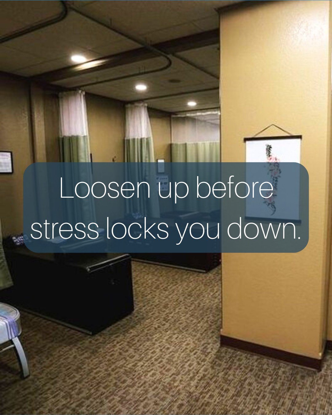 Stress often shows up in your back. Our Traction Roller Table gently stretches your spine, loosens tight muscles, and promotes healthy circulation.
✨ 10 minutes: $12
Available at Cloud Peak Chiropractic in Worland and Thermopolis.