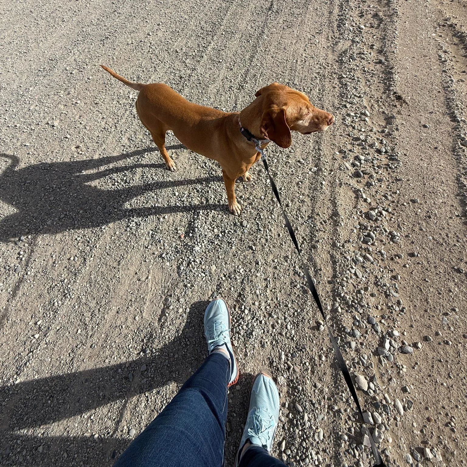 Did you know hip fractures are expected to nearly double by 2050? 😳 At 44, I&rsquo;m not waiting to think about my bone health. Strength training, proper nutrition, sleep, and chiropractic care are my secret weapons&mdash;not just for strong bones, 