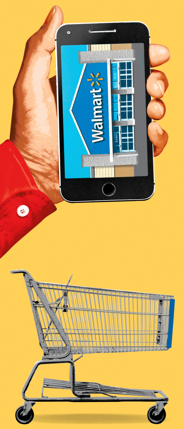 Cart-700x1633.gif