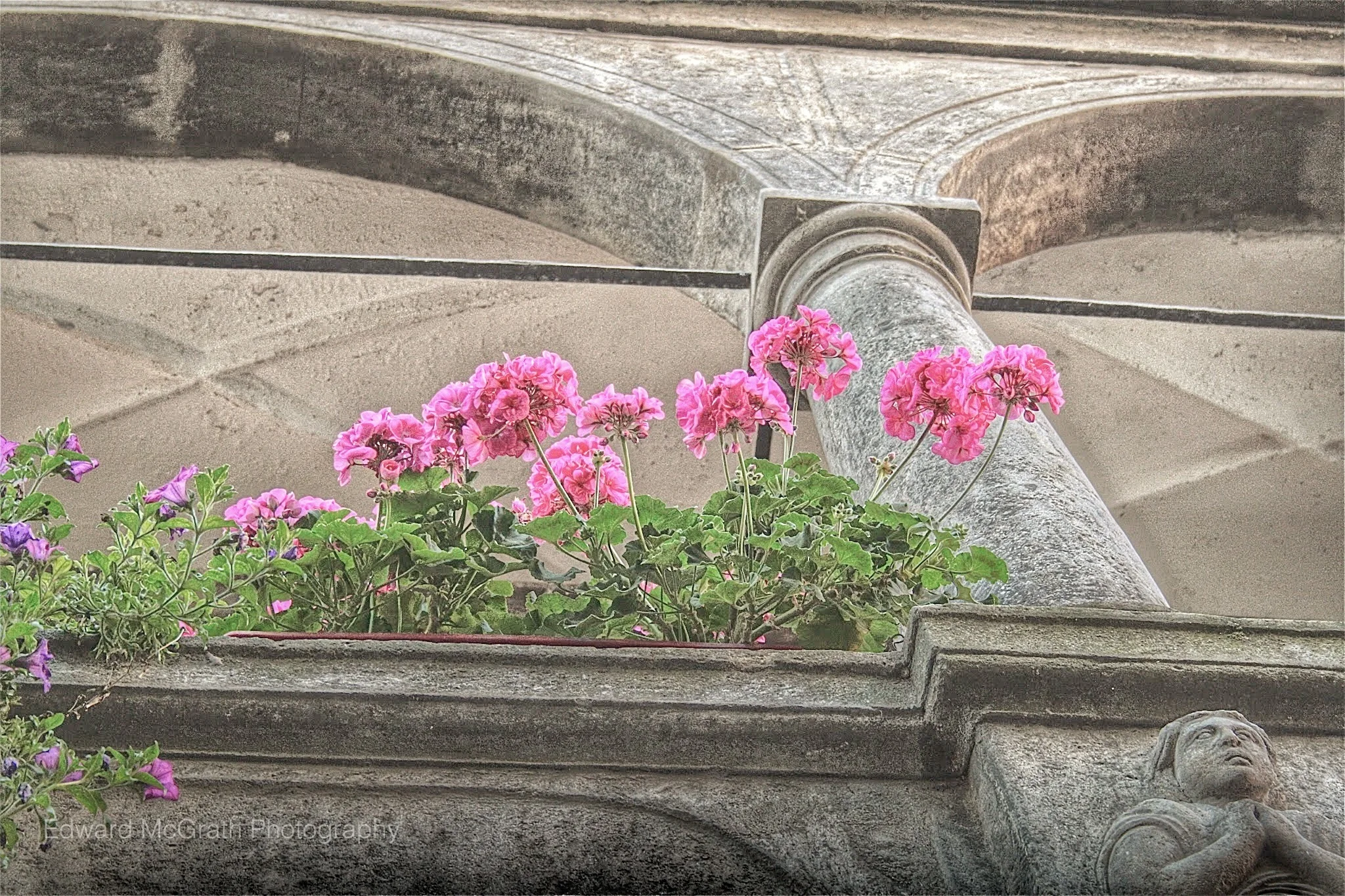 Czech Republic Countryside-#2.JPG