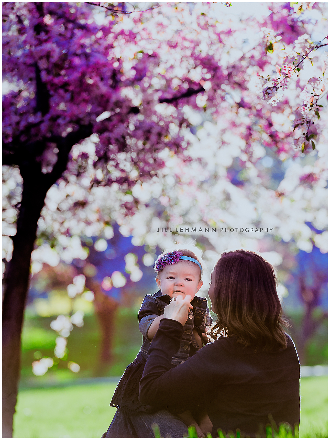 Baby / Child / Family Photographer in Des Moines, IA