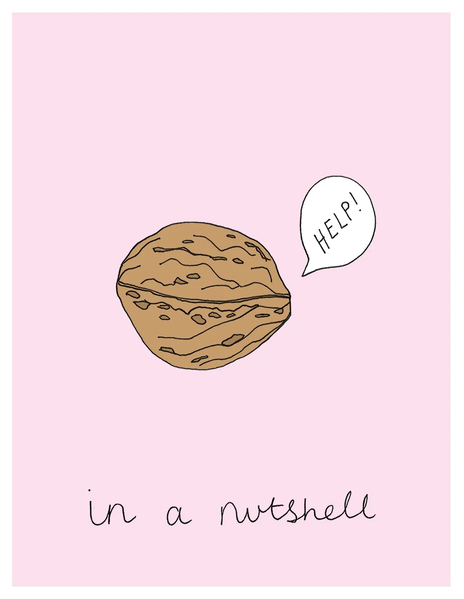In_a_nutshell_EmilieSheehan.jpg